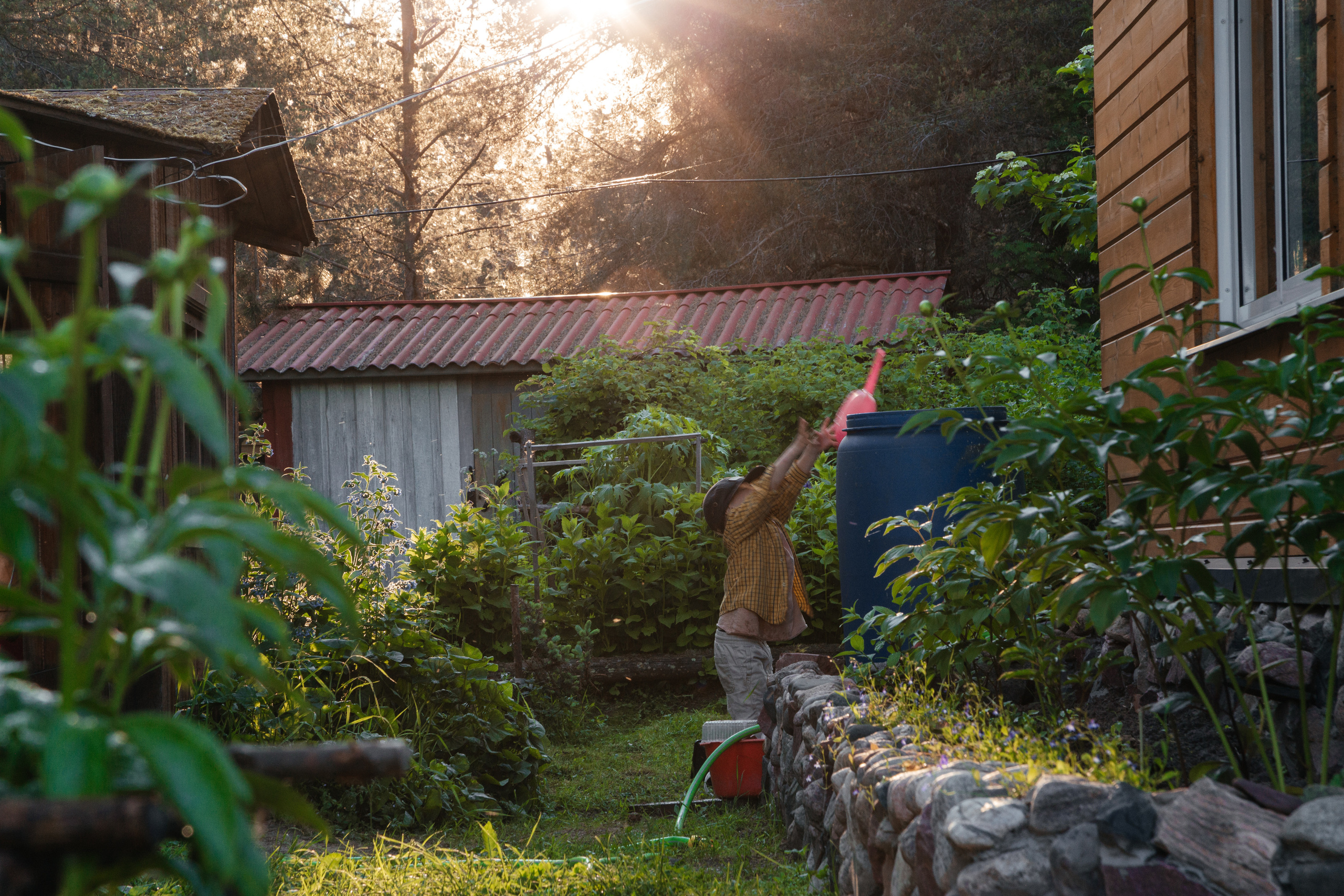 Иван и лейка. Арина Мелехова фотограф Красная Поляна