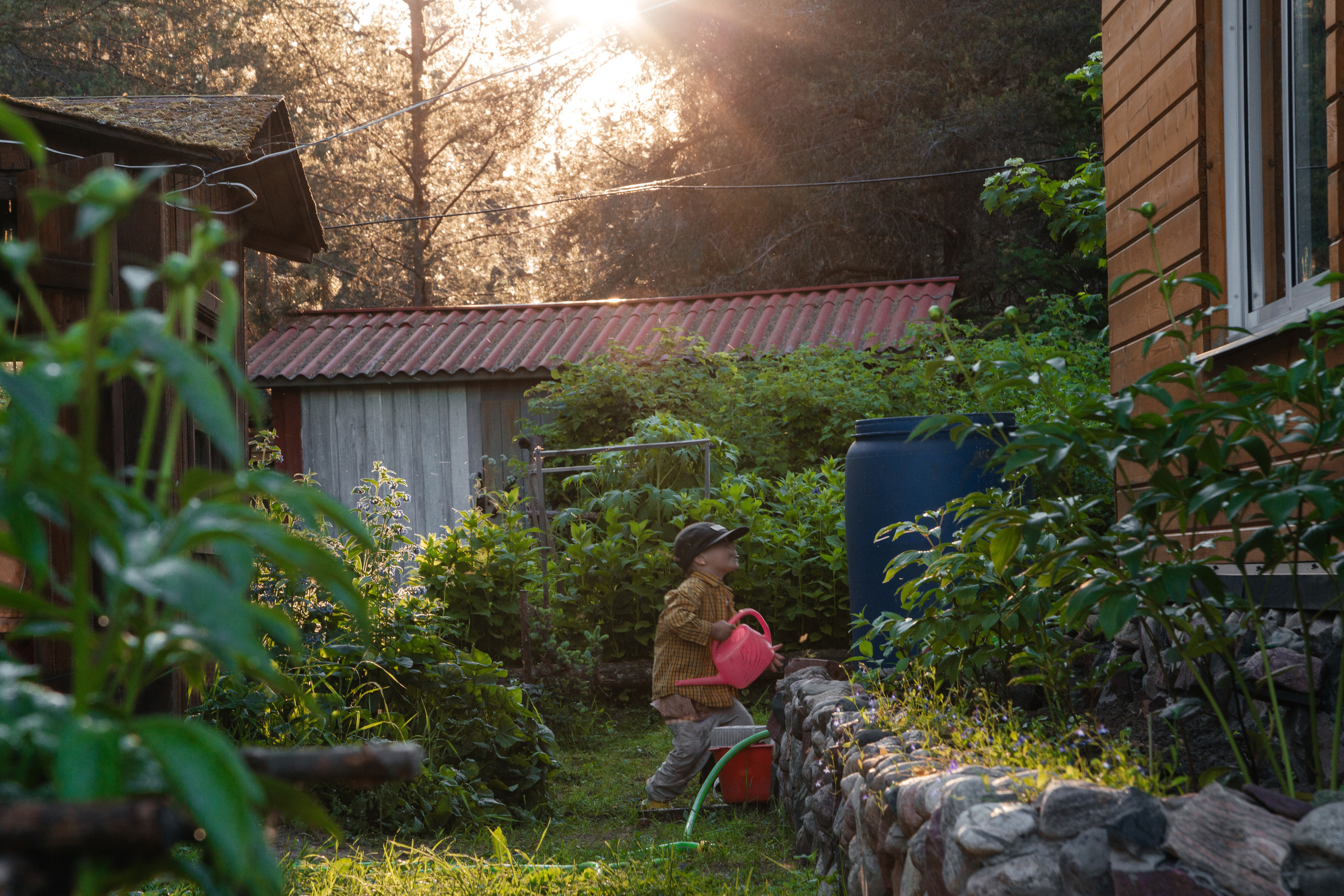 Иван и лейка. Арина Мелехова фотограф Красная Поляна