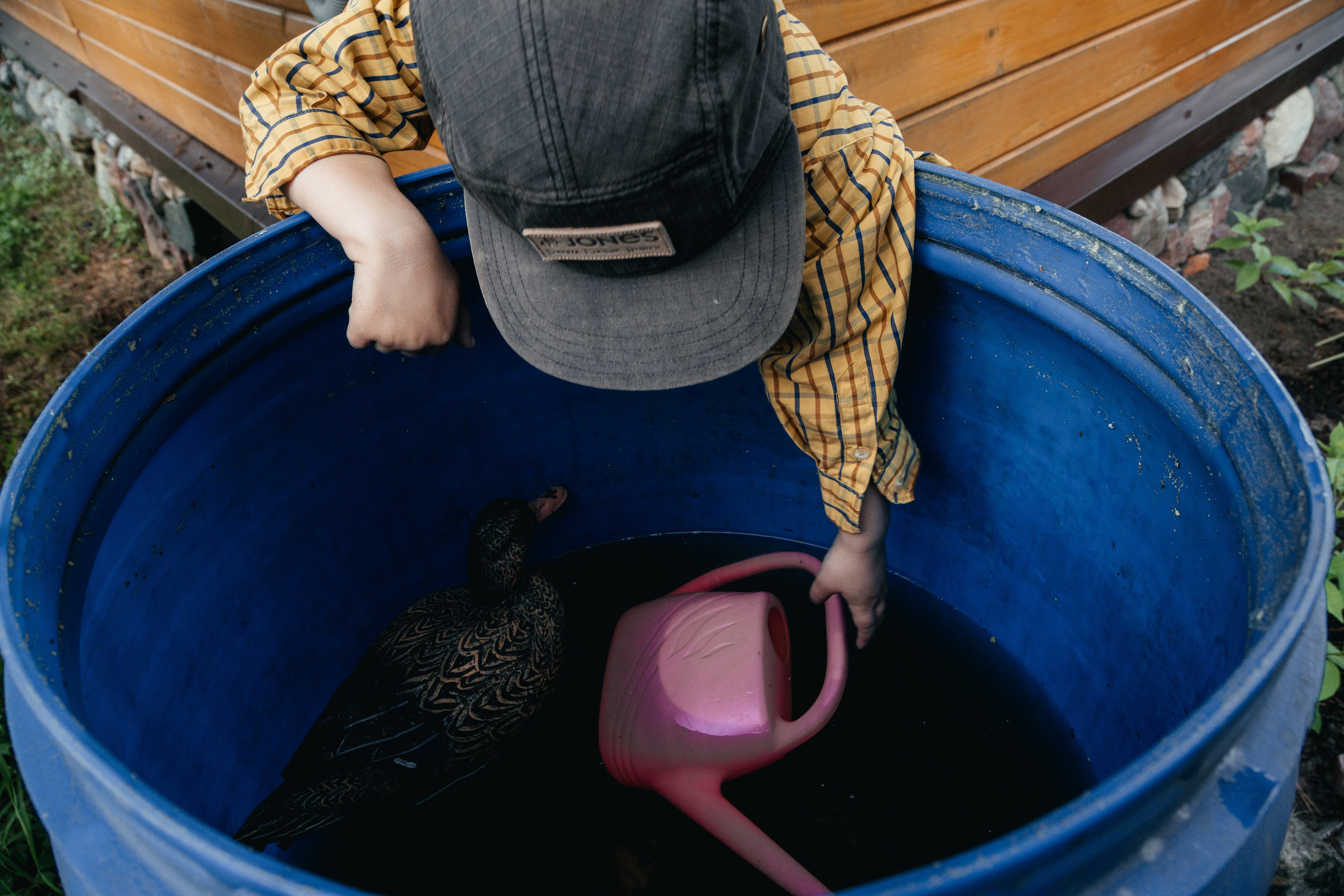 Иван и лейка. Арина Мелехова фотограф Красная Поляна