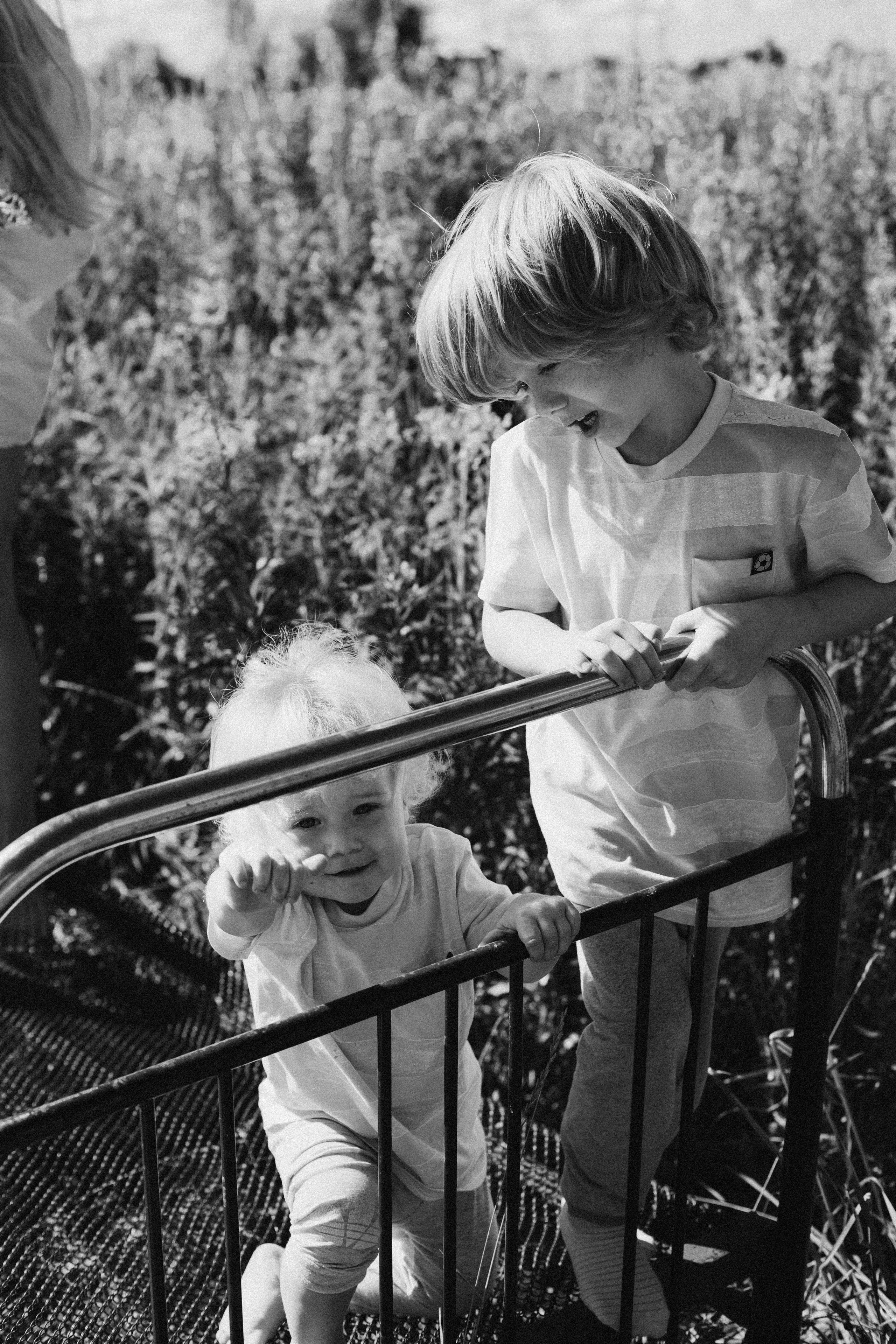 Малиновое поле. Арина Мелехова фотограф Красная Поляна