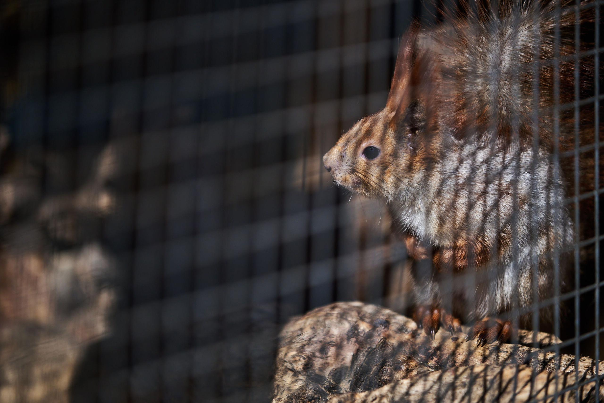 Зоопарк Иваново. Фотограф в Иваново: Каталожная съемка одежды и постельного белья, Wildberries