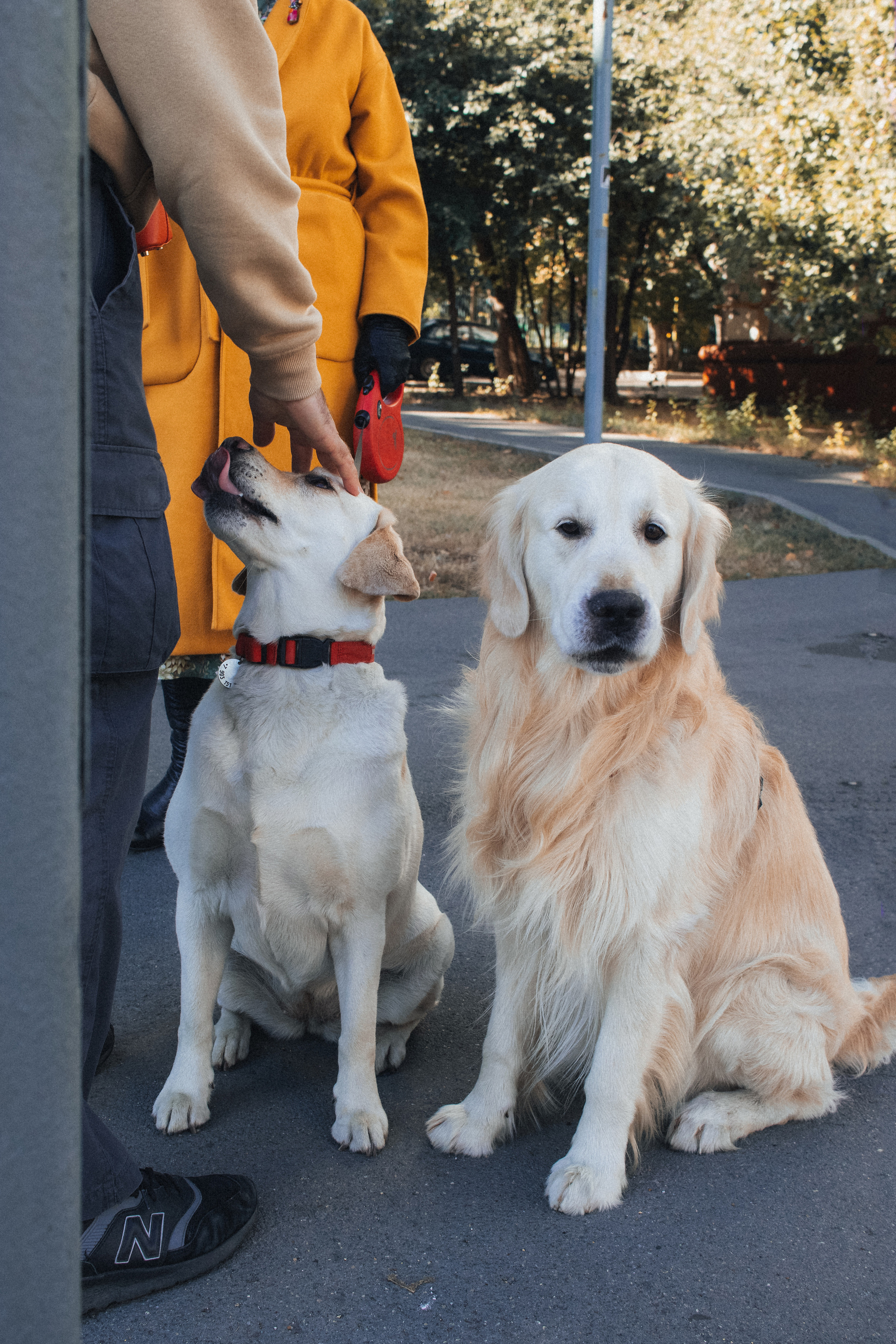 Семка для блога. Портретный фотограф Москва