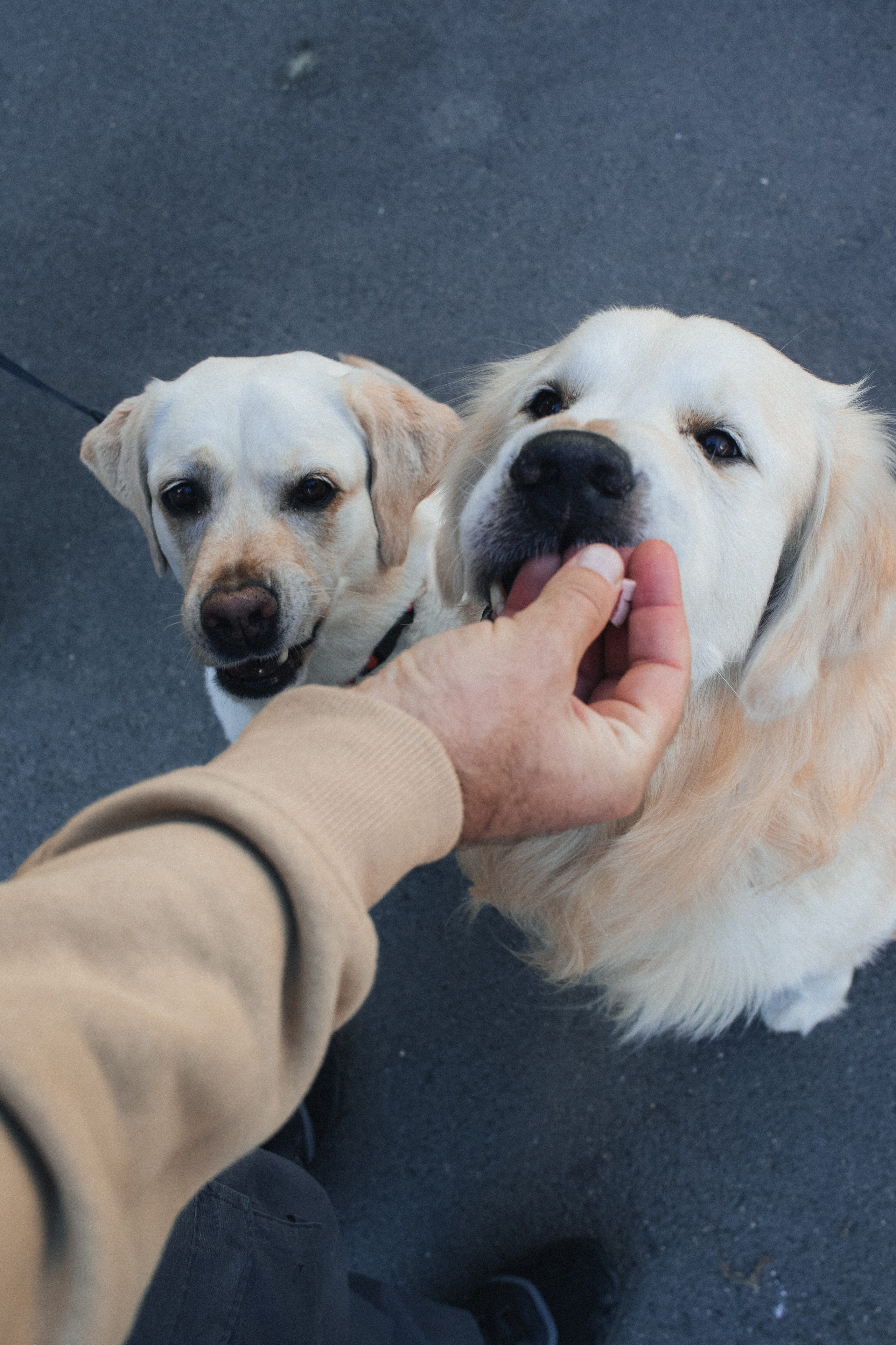 Семка для блога. Портретный фотограф Москва