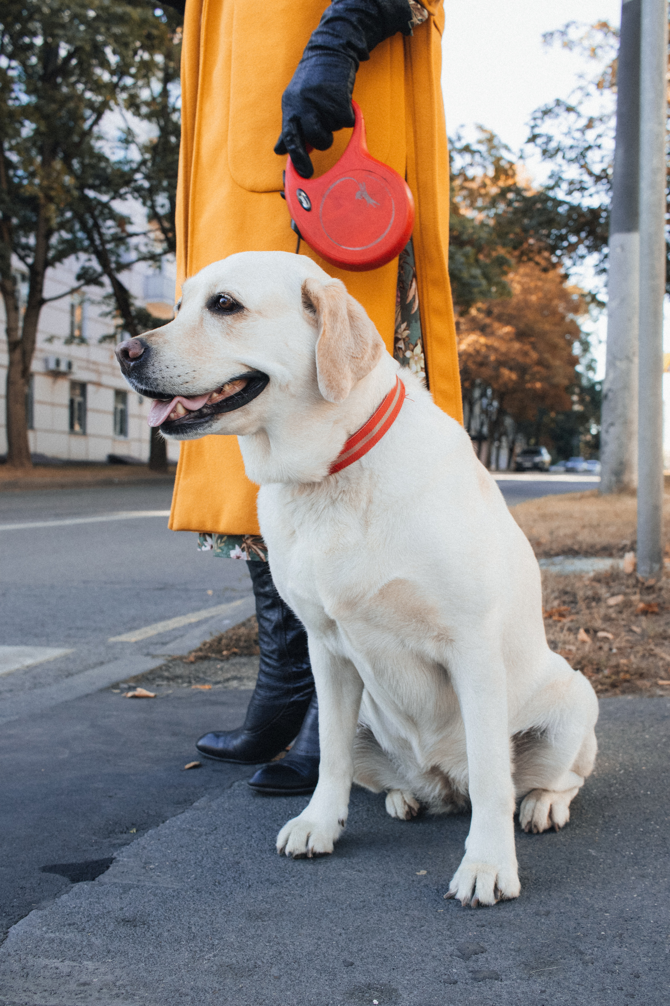 Семка для блога. Портретный фотограф Москва