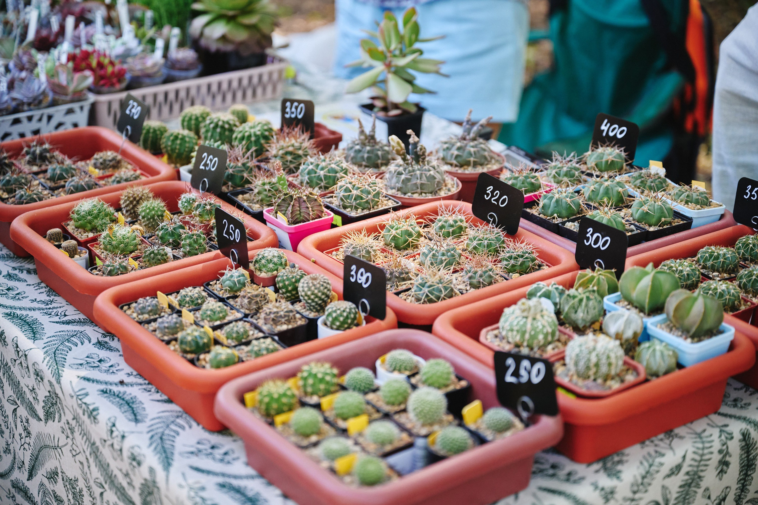 Ива фест 2025. Фотограф в Иваново: Каталожная съемка одежды и постельного белья, Wildberries