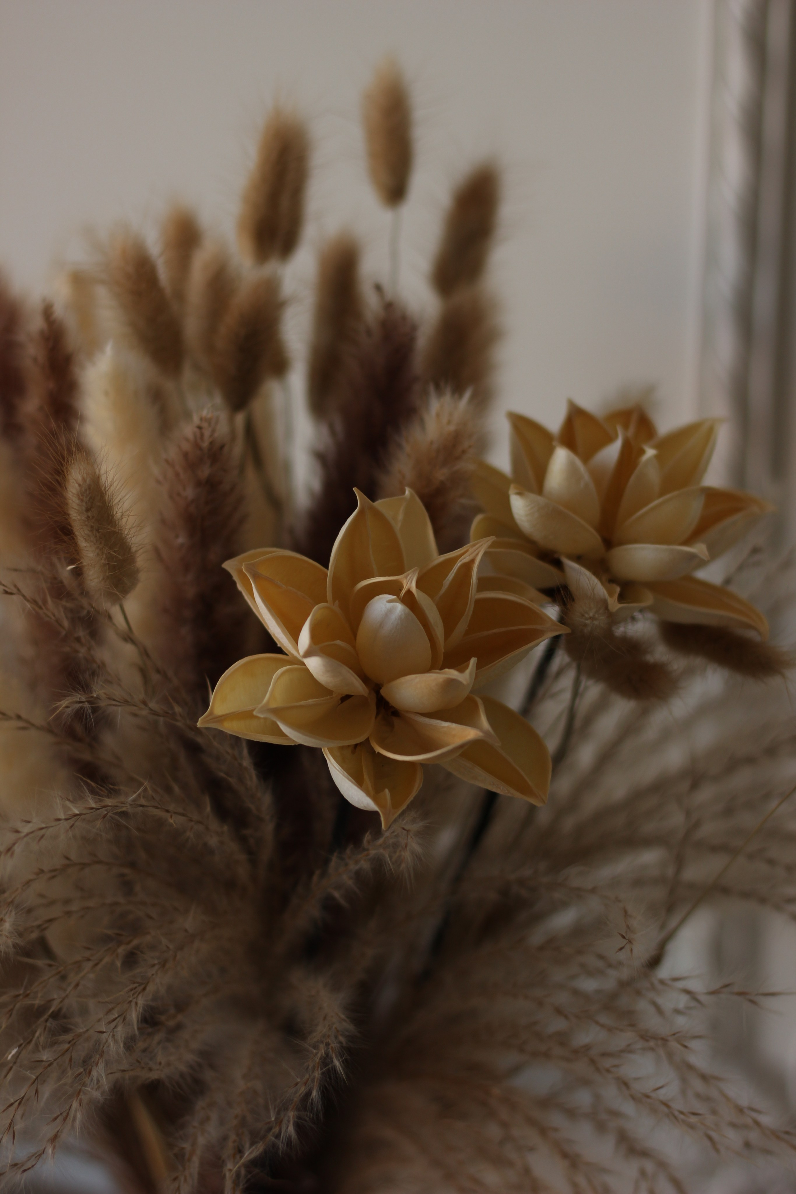 Фотосессия: «Алиса в Стране чудес». Фотограф Красноярск