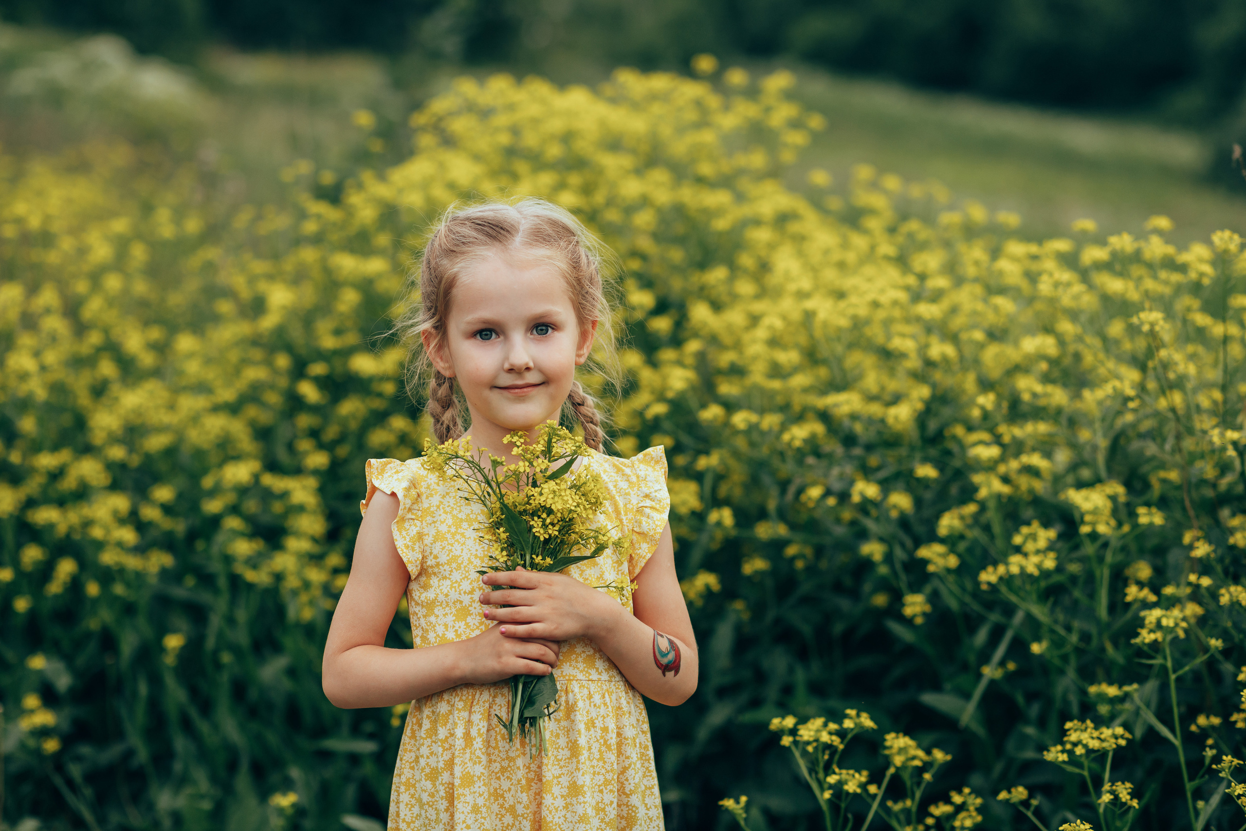 Краски лета. Семейный и детский фотограф в г. Новосибирске Макеева Анастасия