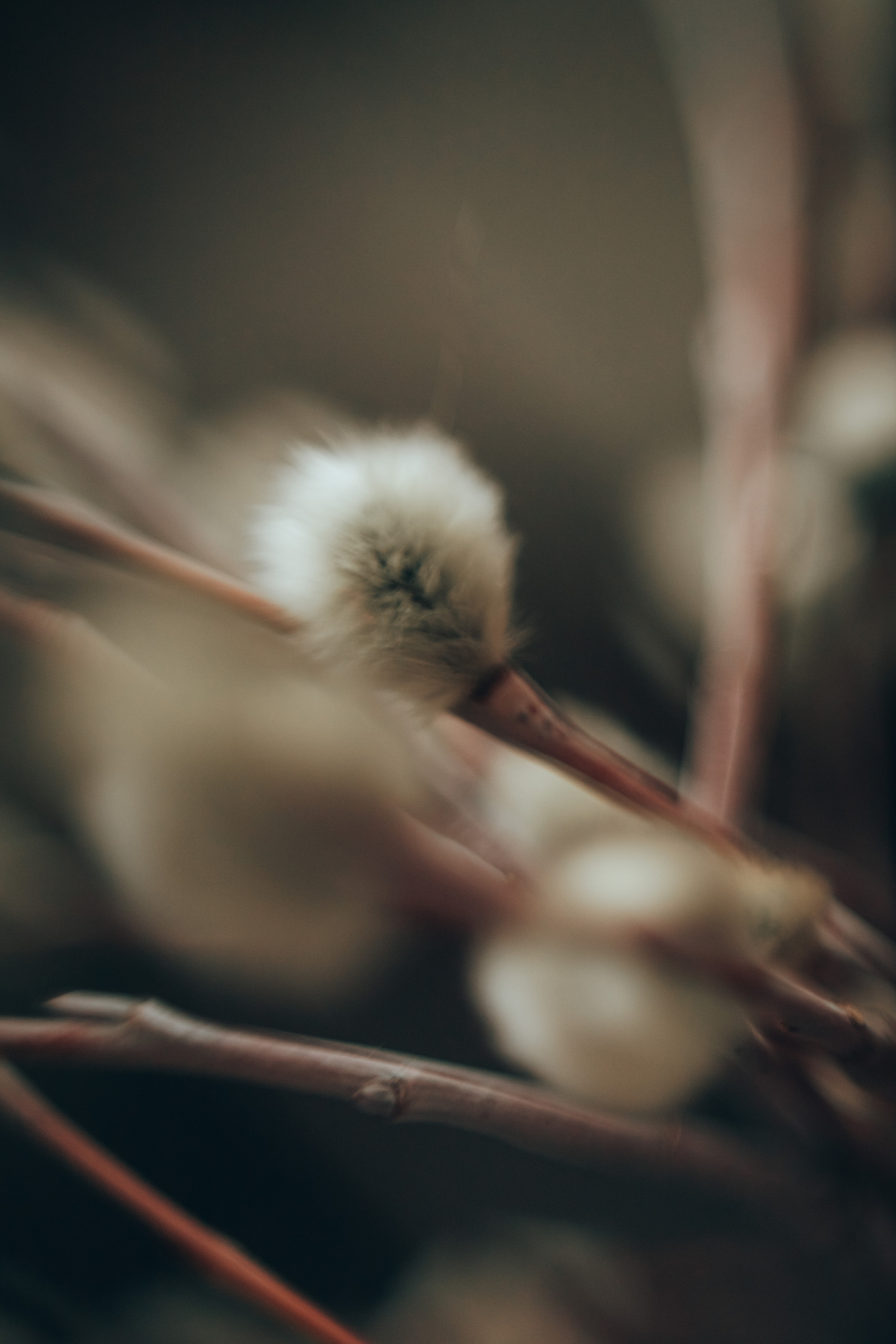 Встречаем Пасху. Семейный и детский фотограф в г. Новосибирске Макеева Анастасия