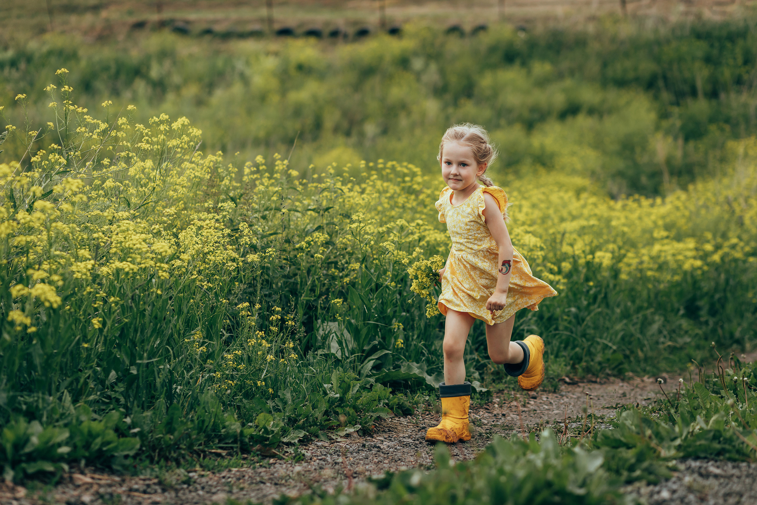 Краски лета. Семейный и детский фотограф в г. Новосибирске Макеева Анастасия