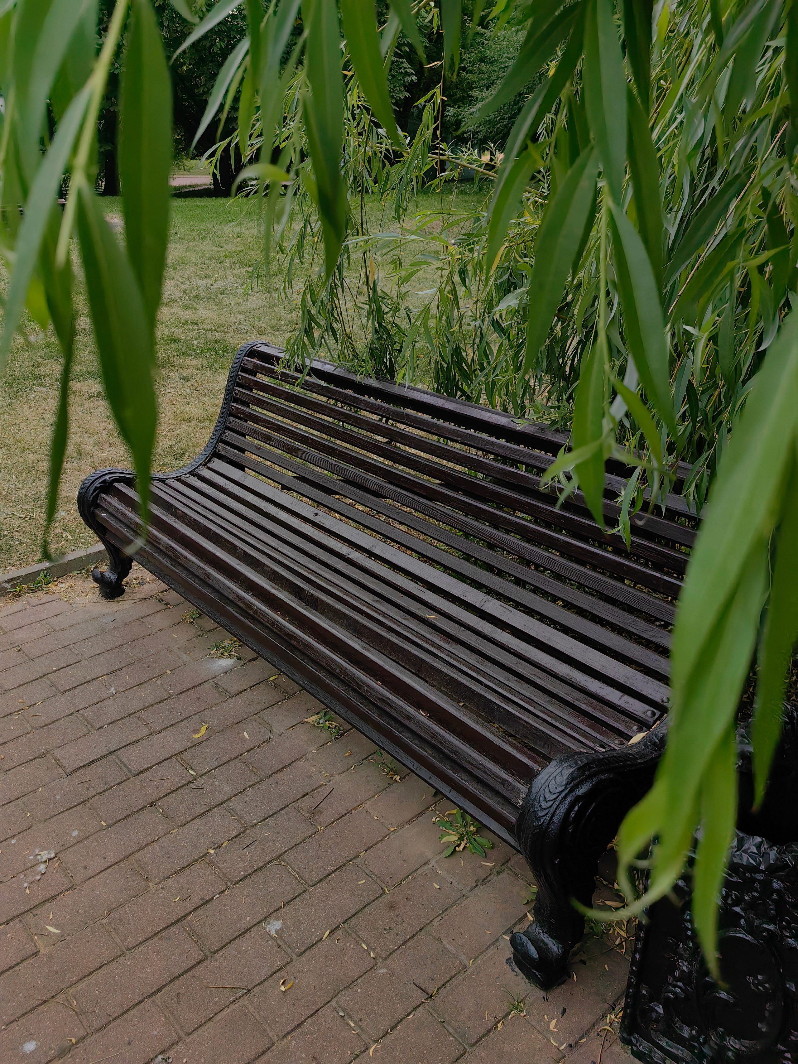 Парк ЕКАТЕРИНИНСКИЙ обзор. Фотограф в Москве и Московской области (Ю-В) Олеся Макарова