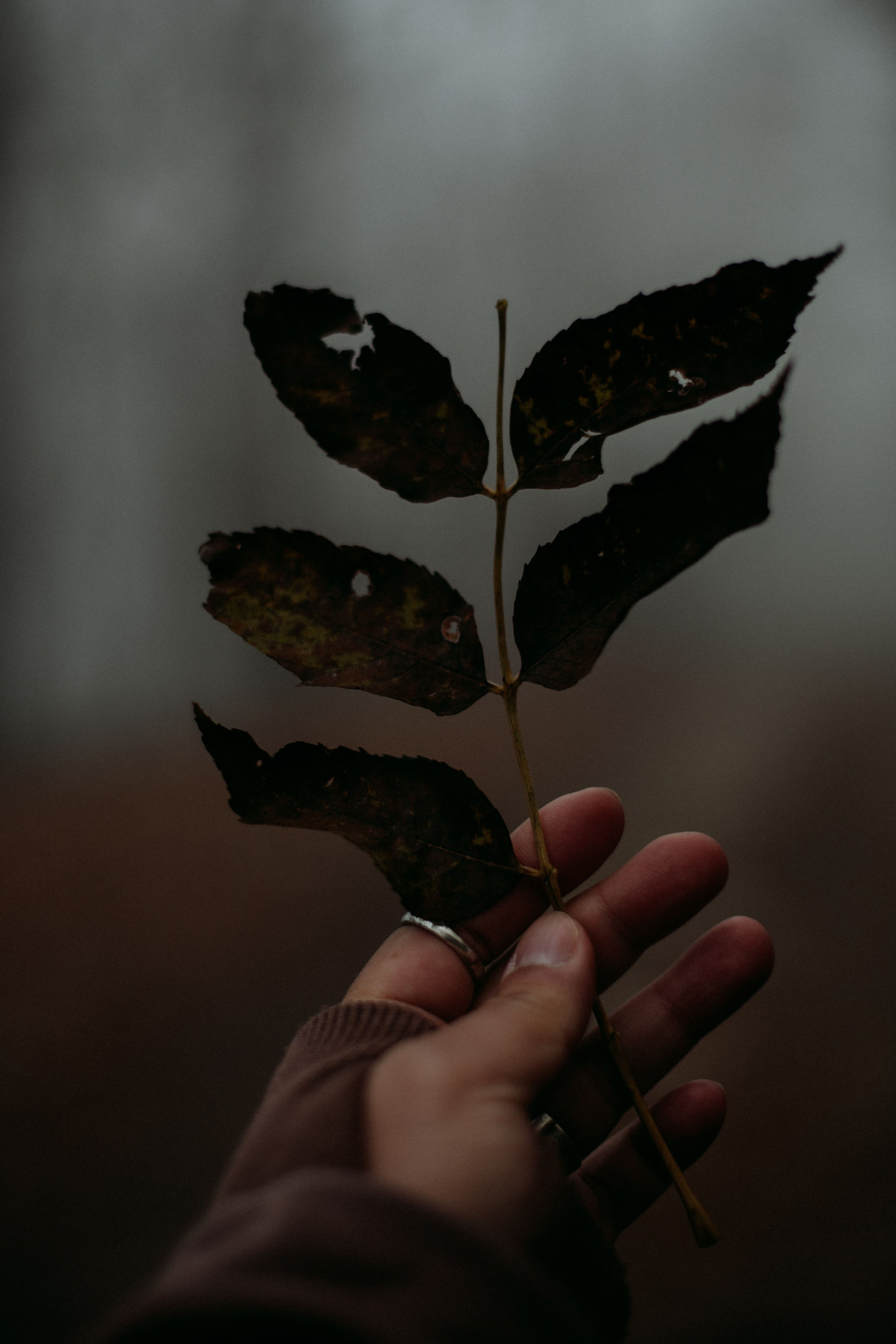 Дороги земли ветров. Портретный фотограф в Москве и Геленджике Кирилл Вахитов