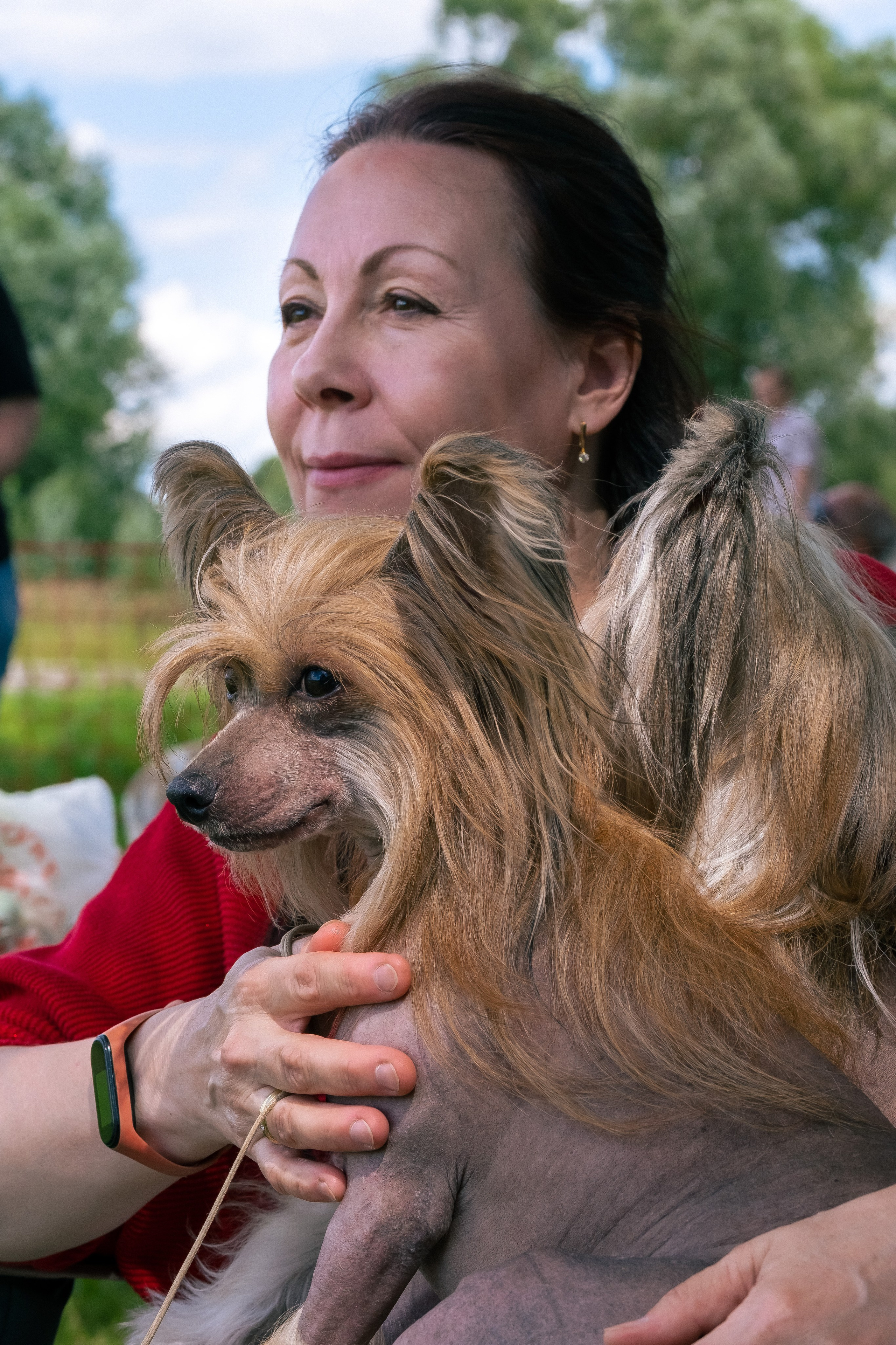 Poale Ell Cooper. Chinese Crested Dog Kennel Poale Ell