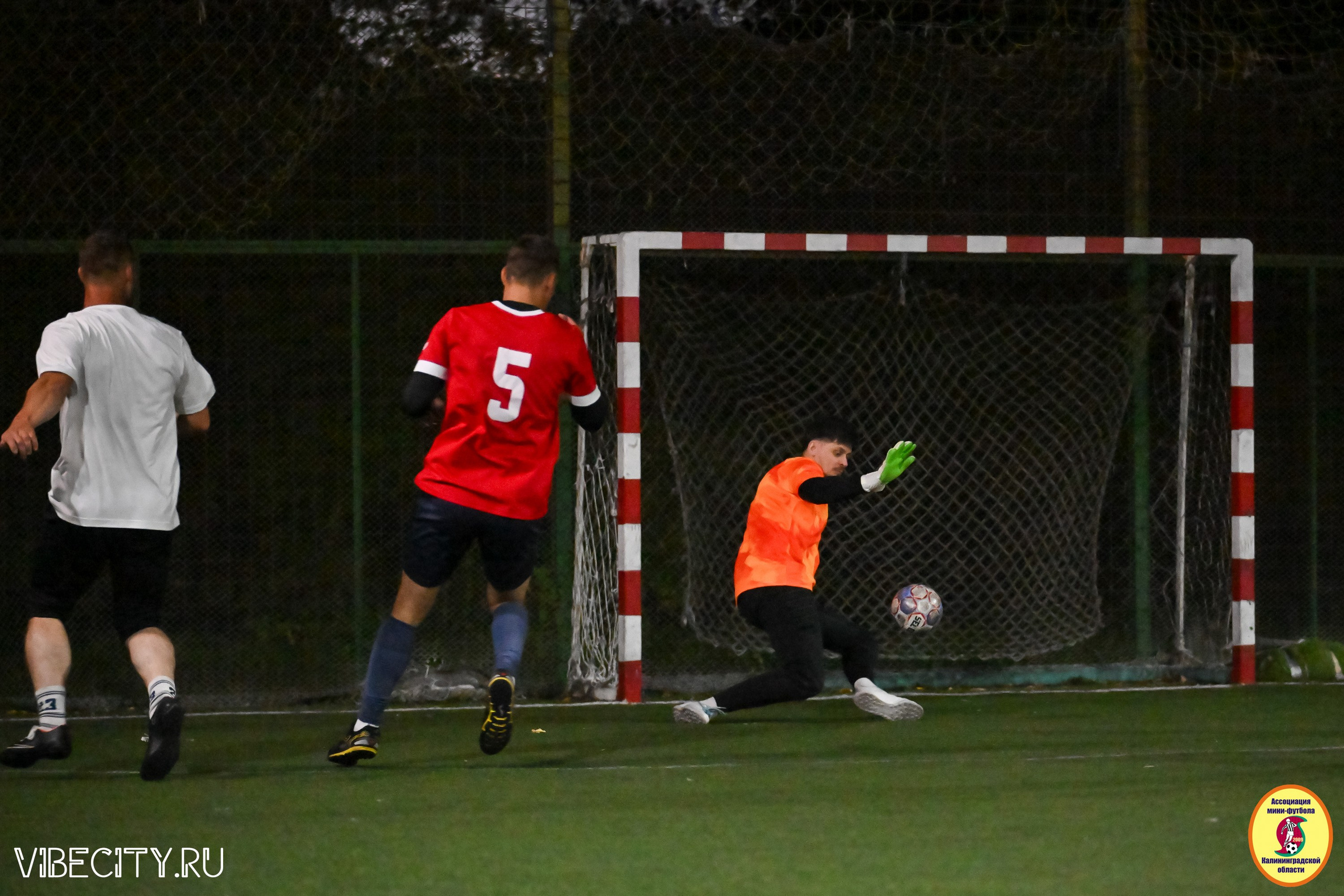 КУБОК ДРУЖБЫ. VIBECITY.RU Вайб Сити Ру Фоторепортажи Фотоотчеты Калининград