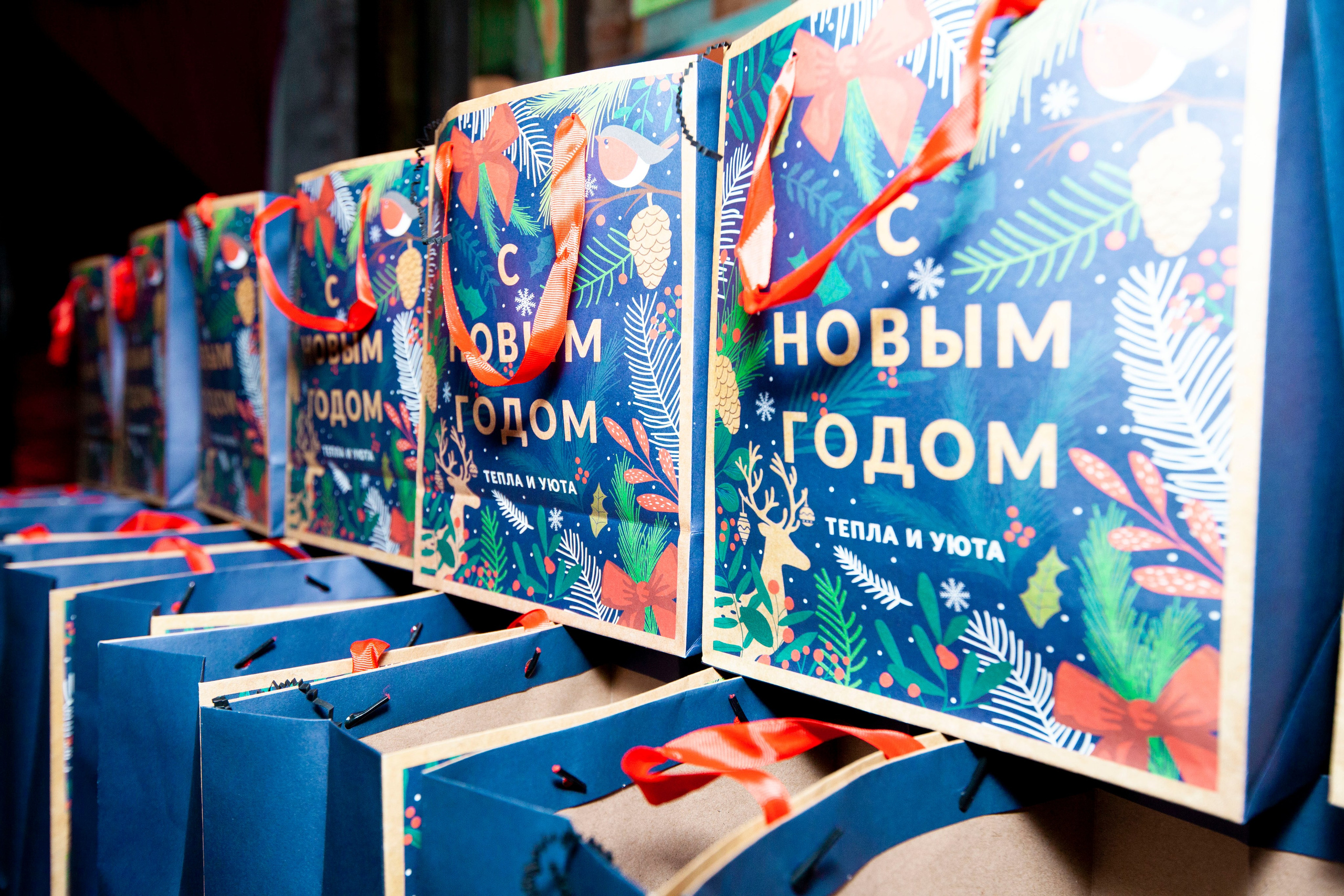 Новогодний корпоратив клуба путешествий Михаила Кожухова. Stanislav Baryshev — People. Emotions. Atmosphere