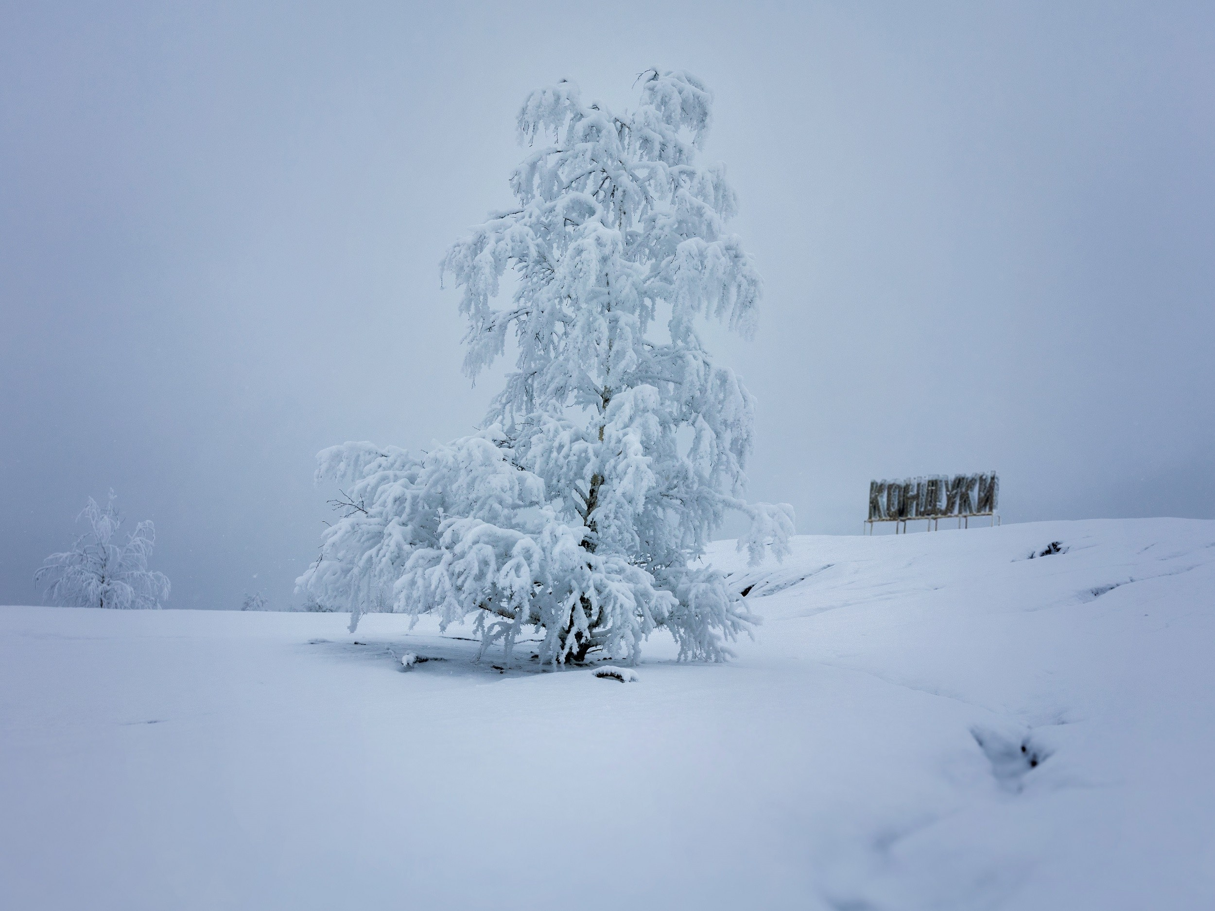 Зимние Кондуки. Пейзажная и архитектурная фотография в Туле, Татьяна Silva