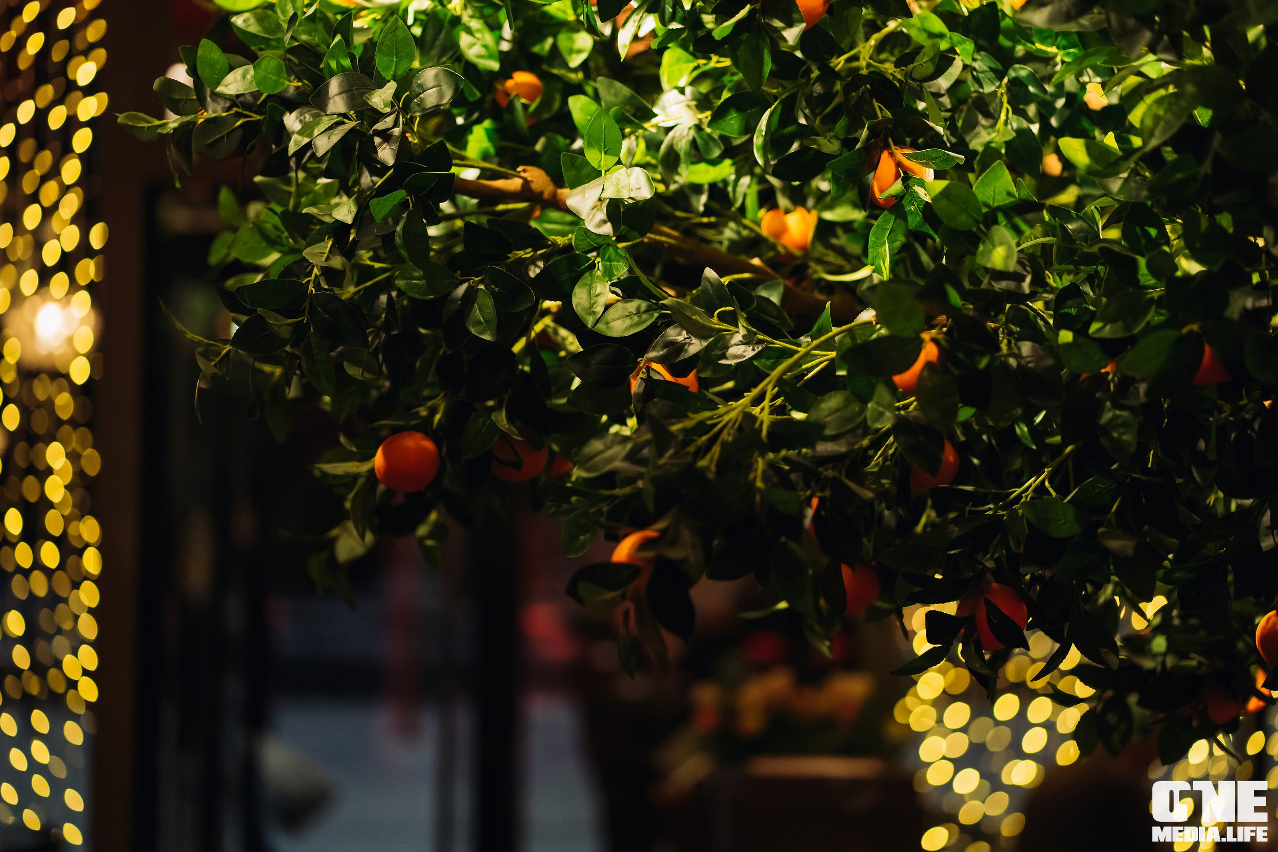 Фоторепортаж из рестобара Мандарин. One Media Life: фоторепортажи, фотоотчеты с мероприятий и заведений