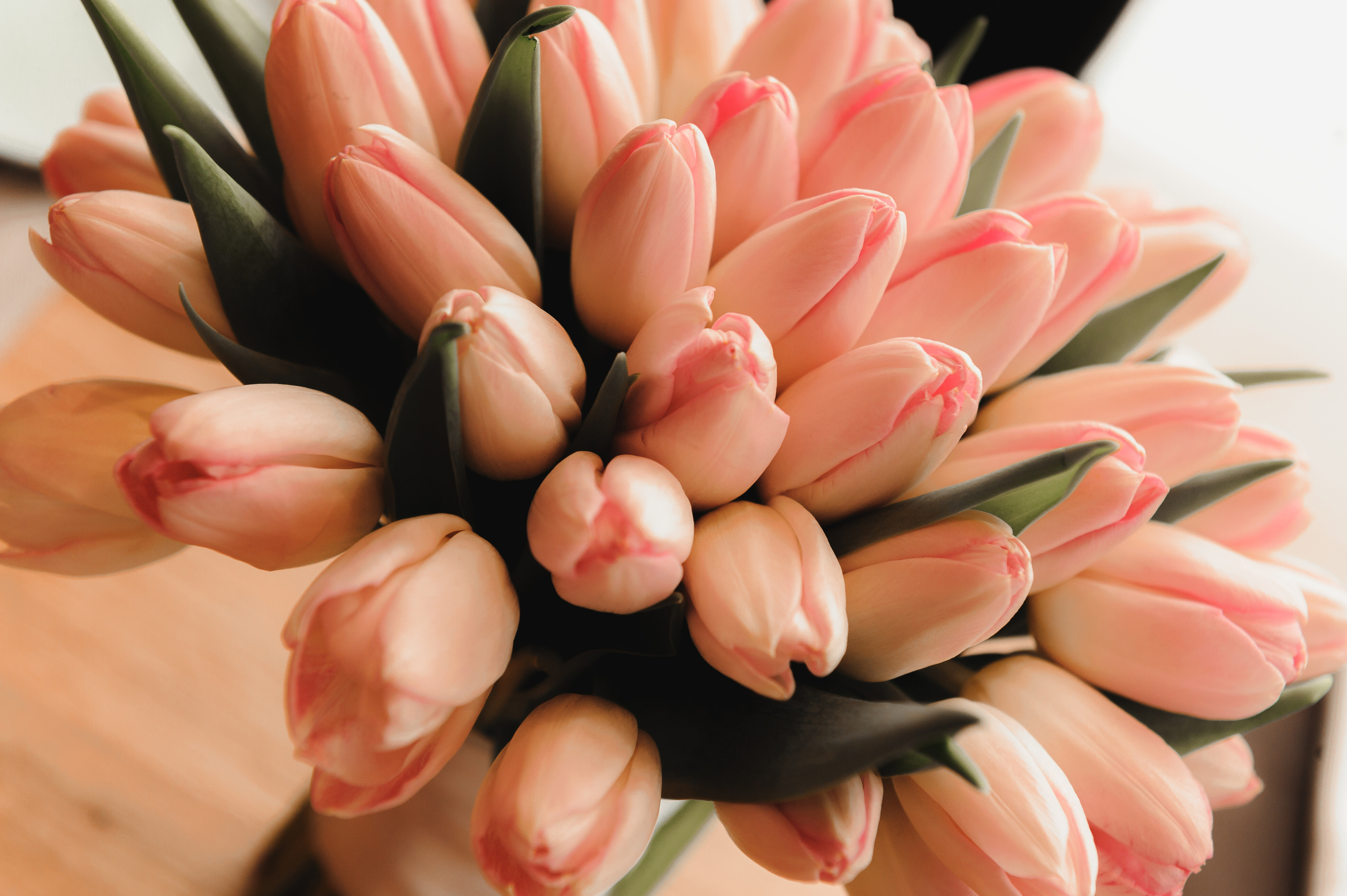 Свадебная фотосессия Москва, Свадебный фотограф Москва