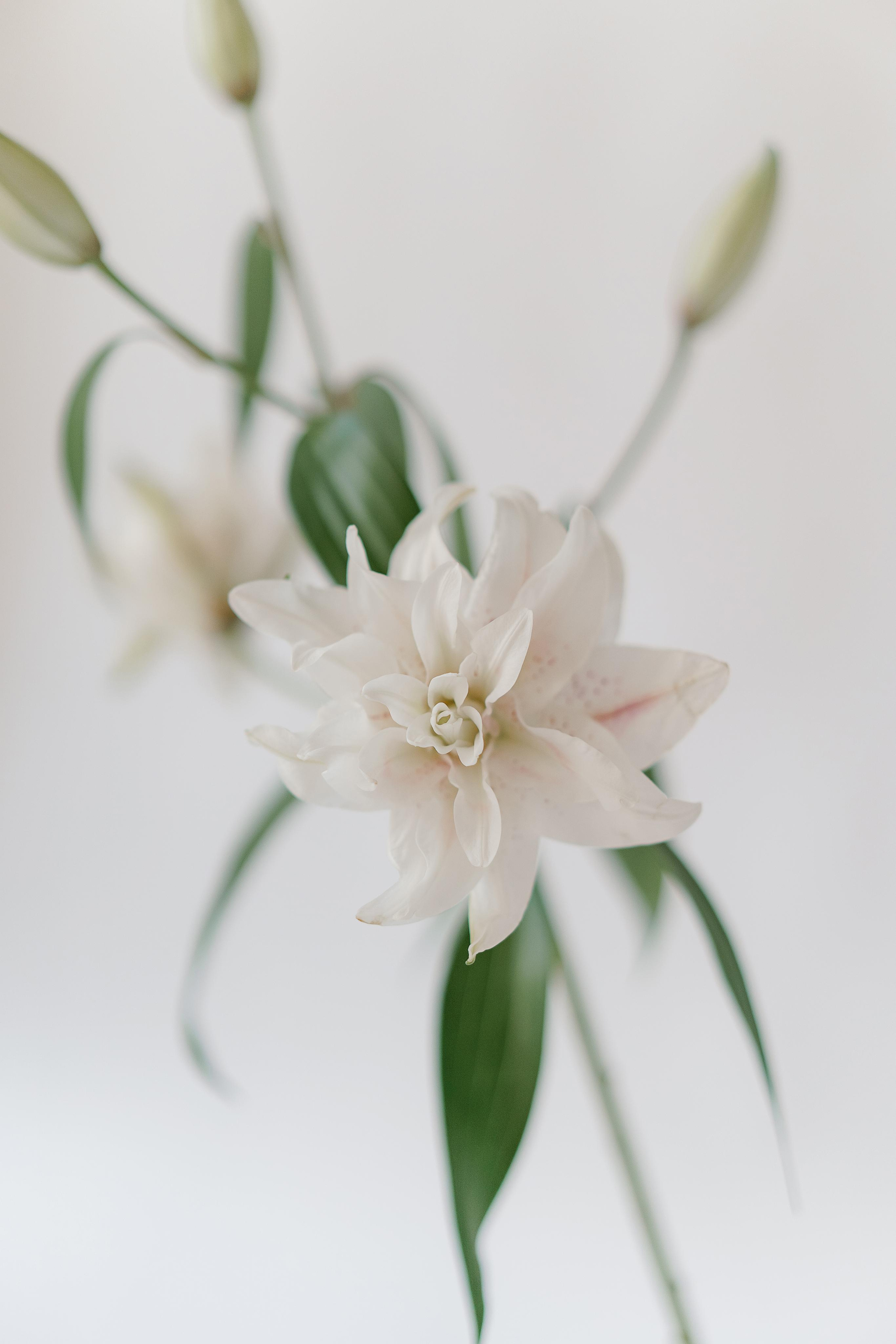 Творческая съемка с Дашей. Свадебный фотограф в Санкт-Петербурге