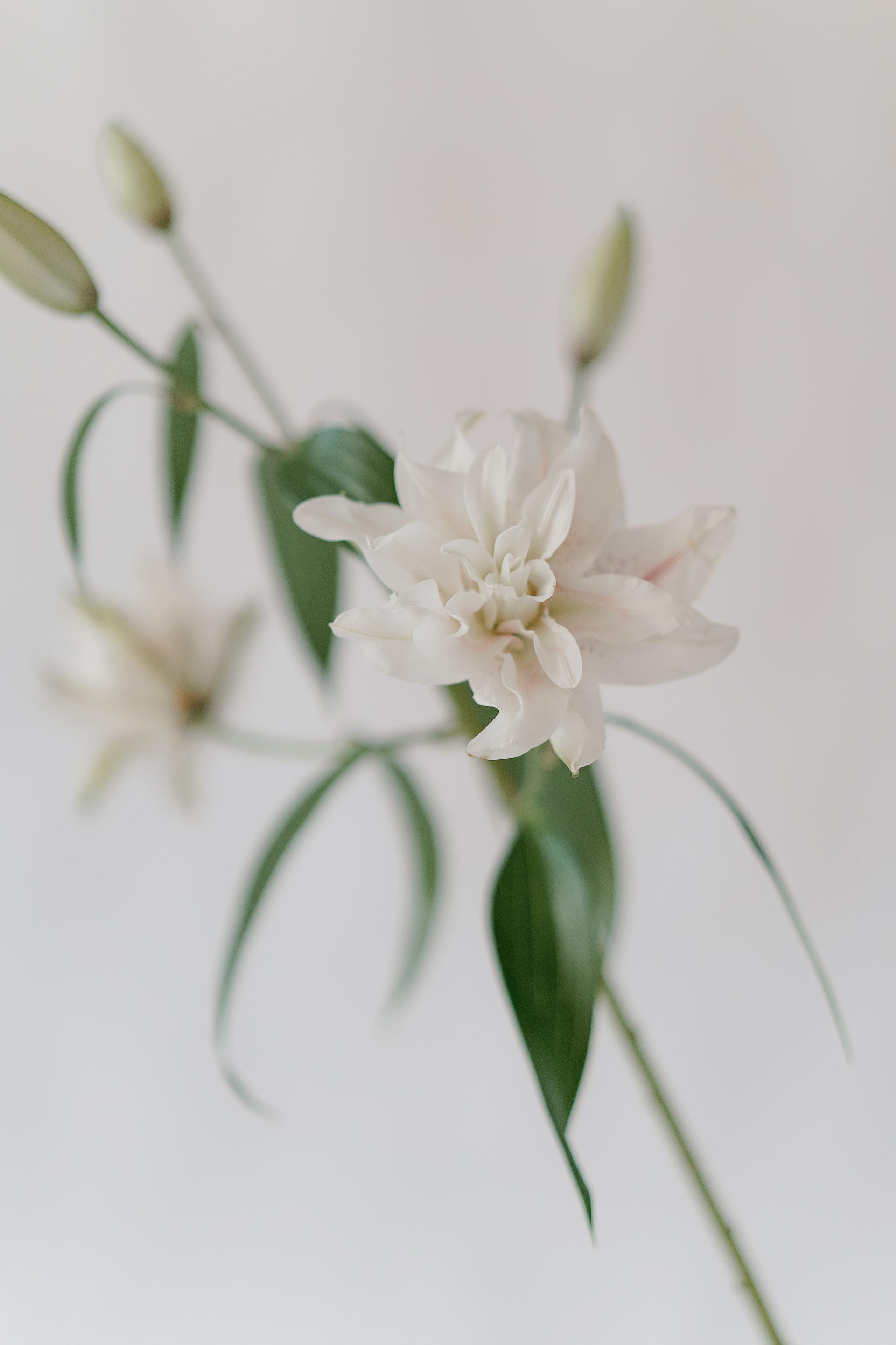 Творческая съемка с Дашей. Свадебный фотограф в Санкт-Петербурге