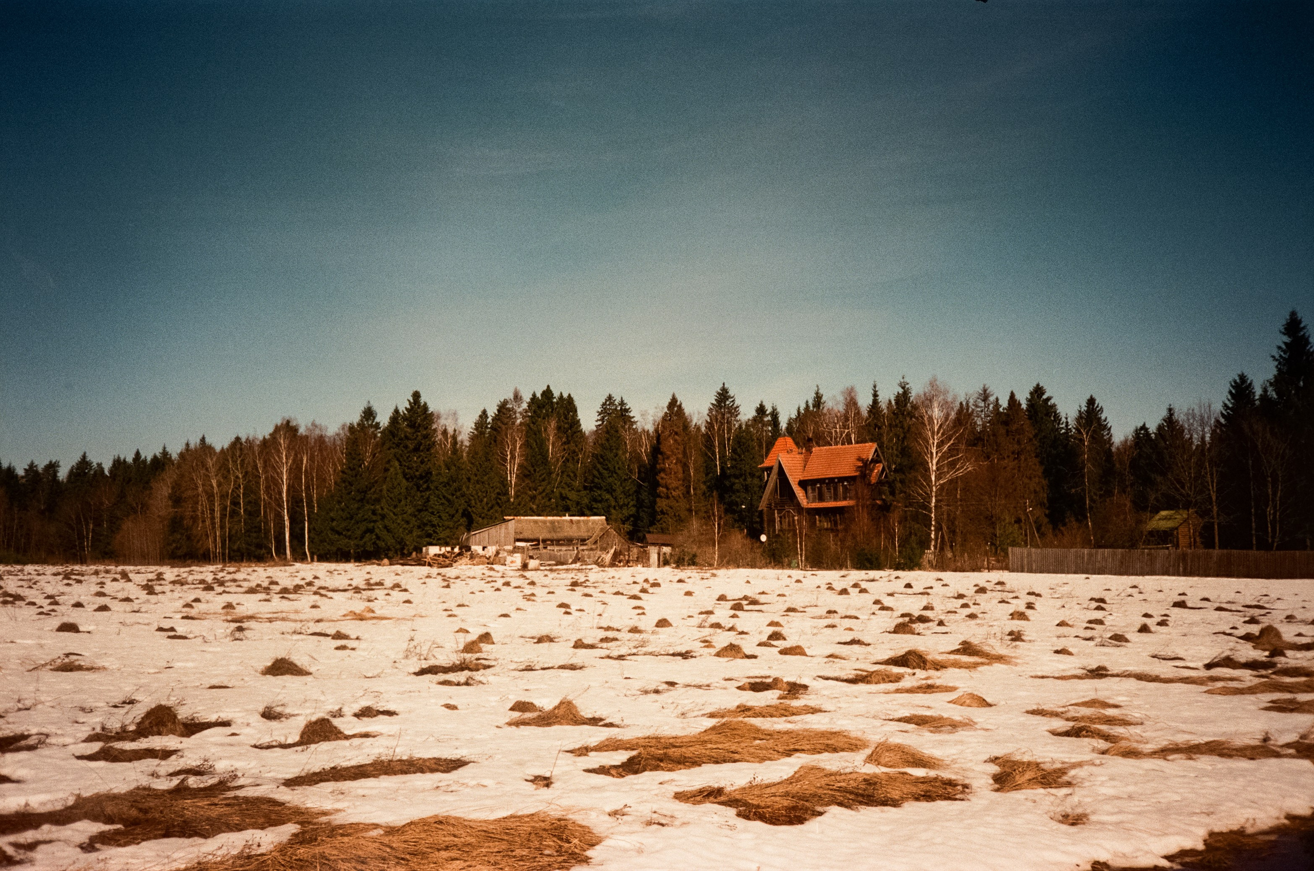 Ricoh FF-300D / Fujifilm X-tra 400 (просрочка) / Лукино март 2024 г