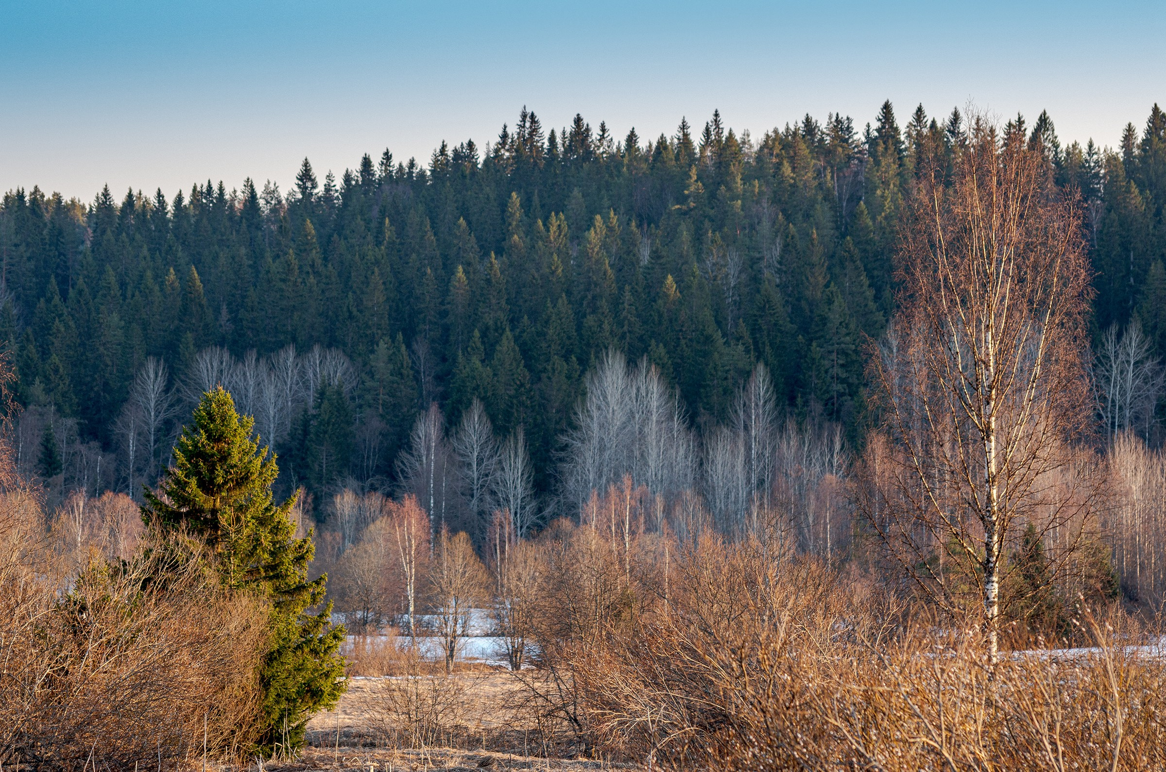 Фотограф Даниил Богомолов, Санкт-Петербург