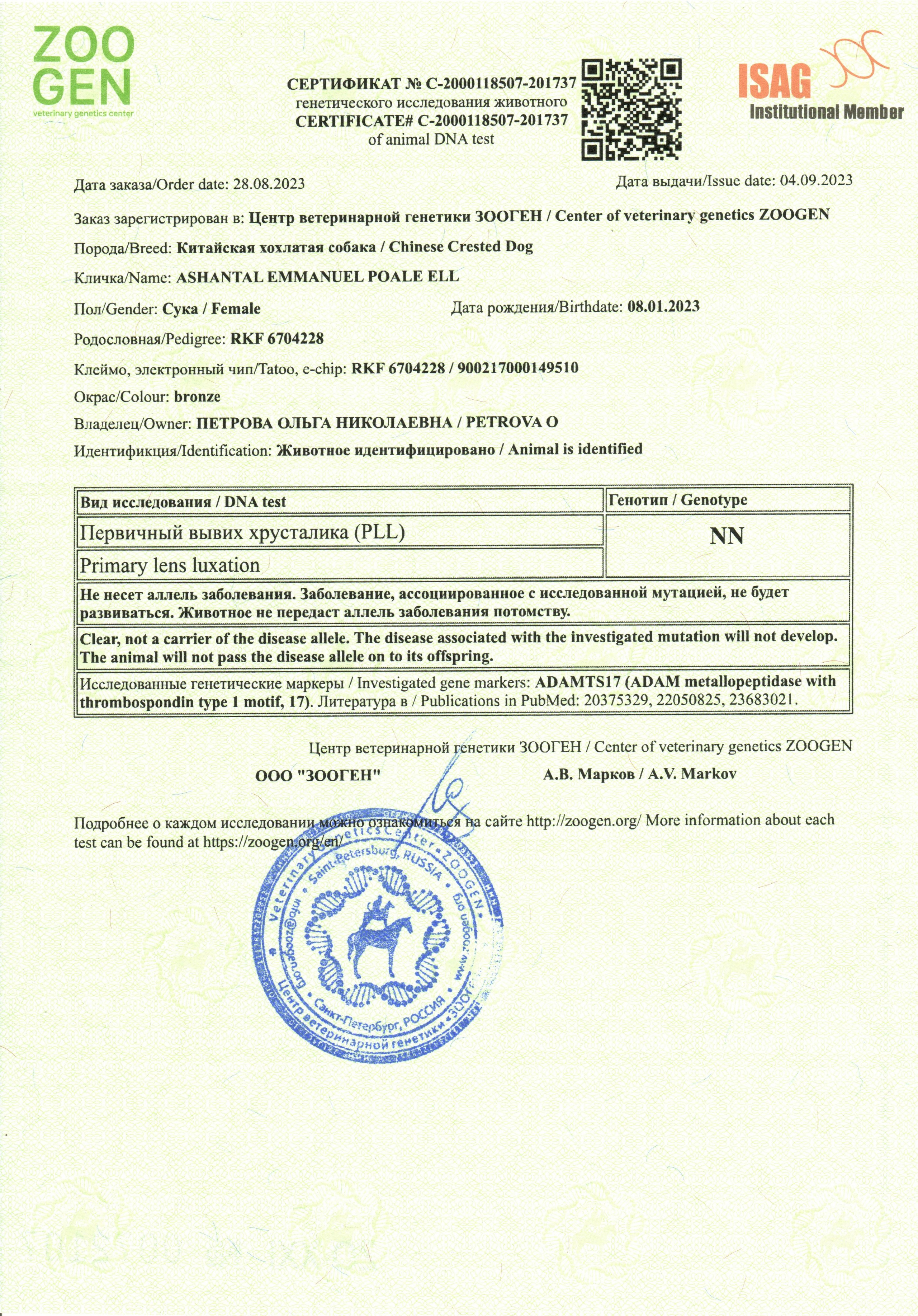 Ashantal Emmanuel Poale Ell. Chinese Crested Dog Kennel Poale Ell