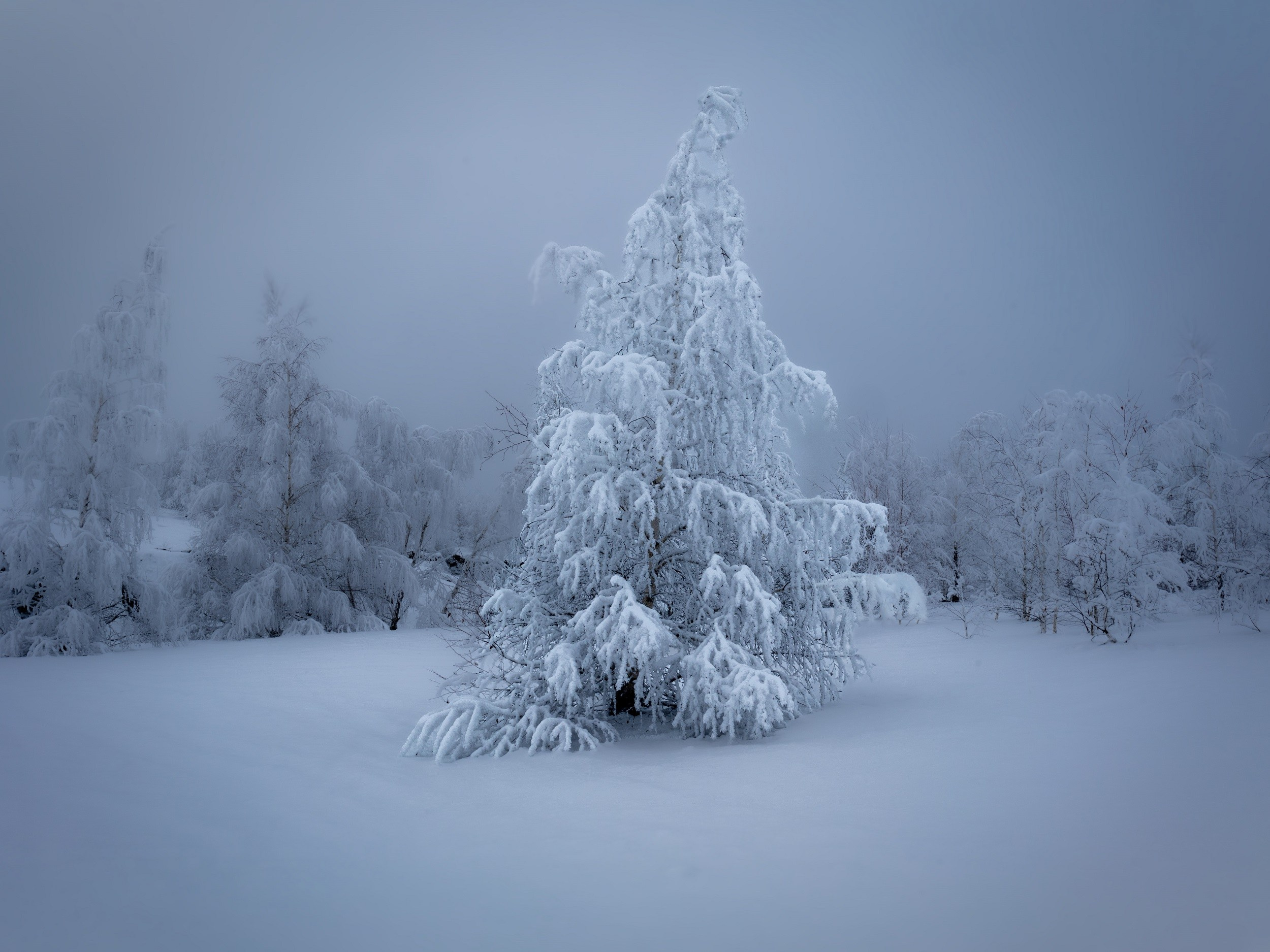 Зимние Кондуки. Пейзажная и архитектурная фотография в Туле, Татьяна Silva