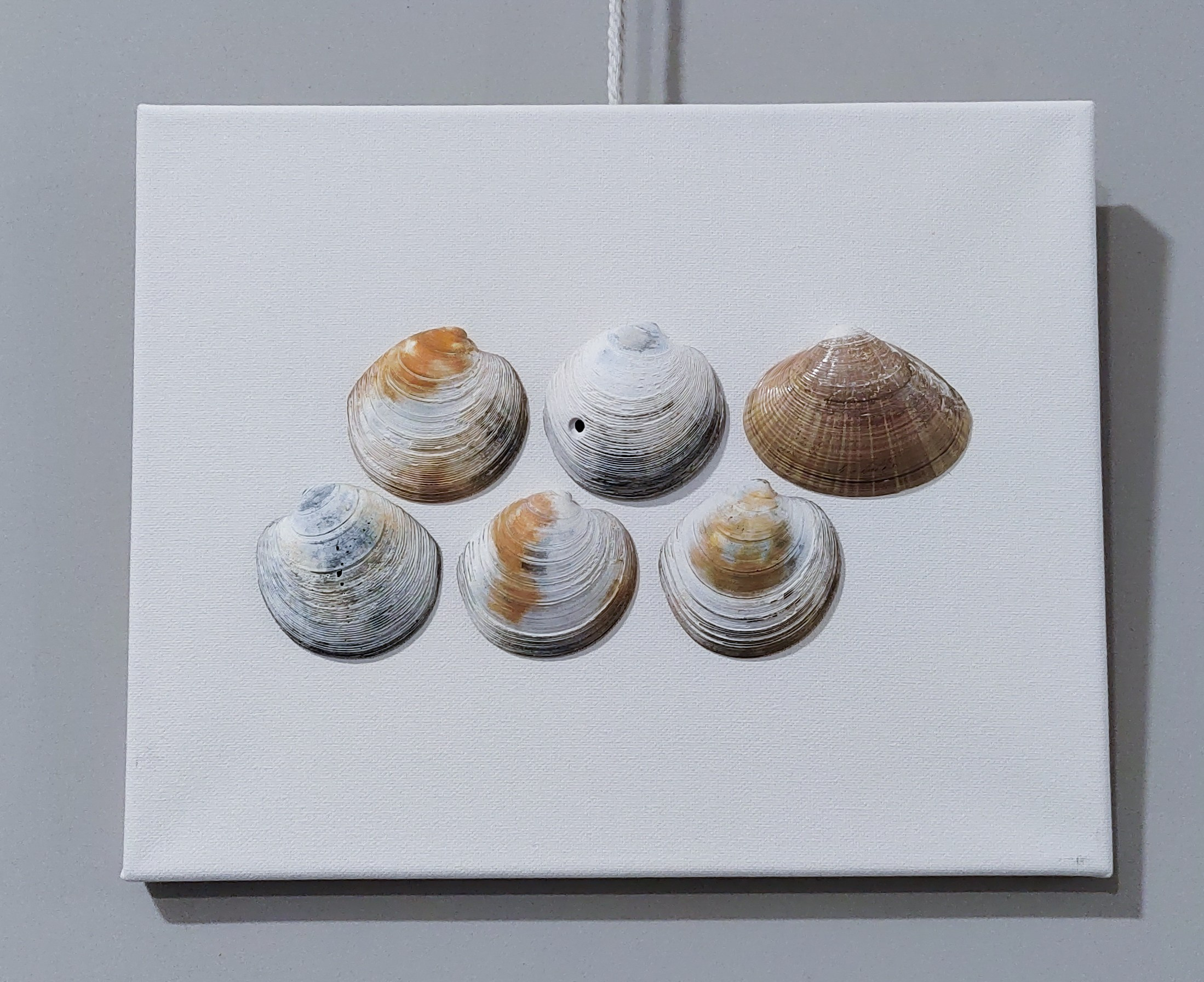 КУКУМАРИЯ-25. ПЕРСОНАЛЬНЫЙ ВЫСТАВОЧНЫЙ ПРОЕКТ. Художник, преподаватель дизайна, начинающий сценограф и режиссёр во Владивостоке