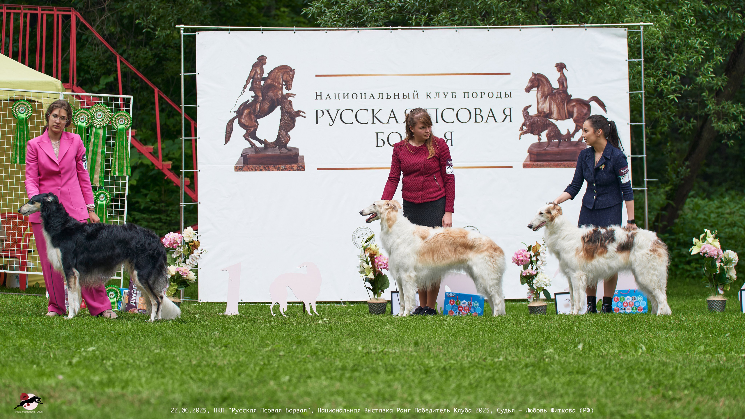 22.06.2025 | Национальная Выставка НКП "Русская Псовая Борзая"