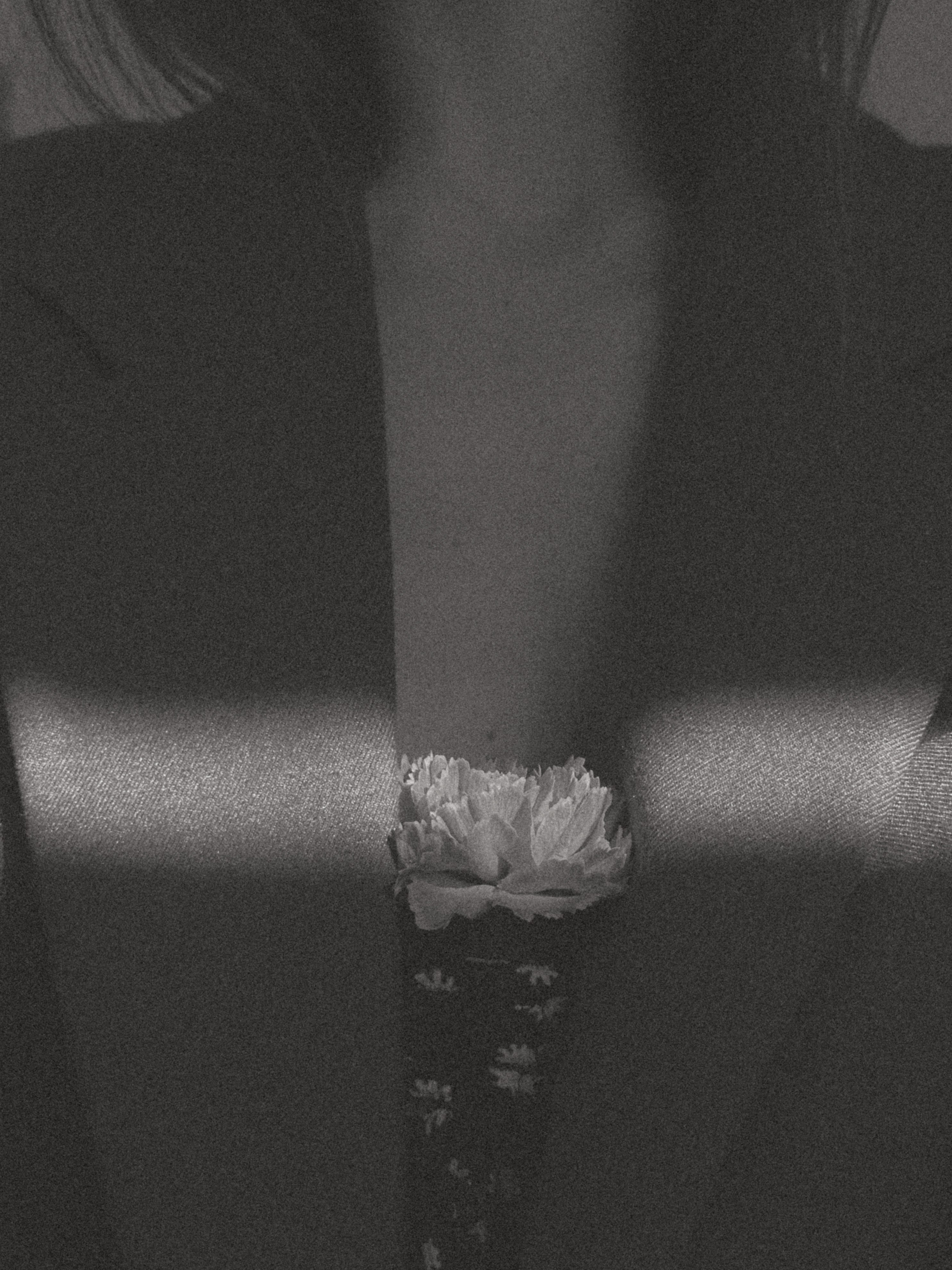 Мобильная съемка. Интерьерный фотограф в Санкт-Петербурге Диана Аносова