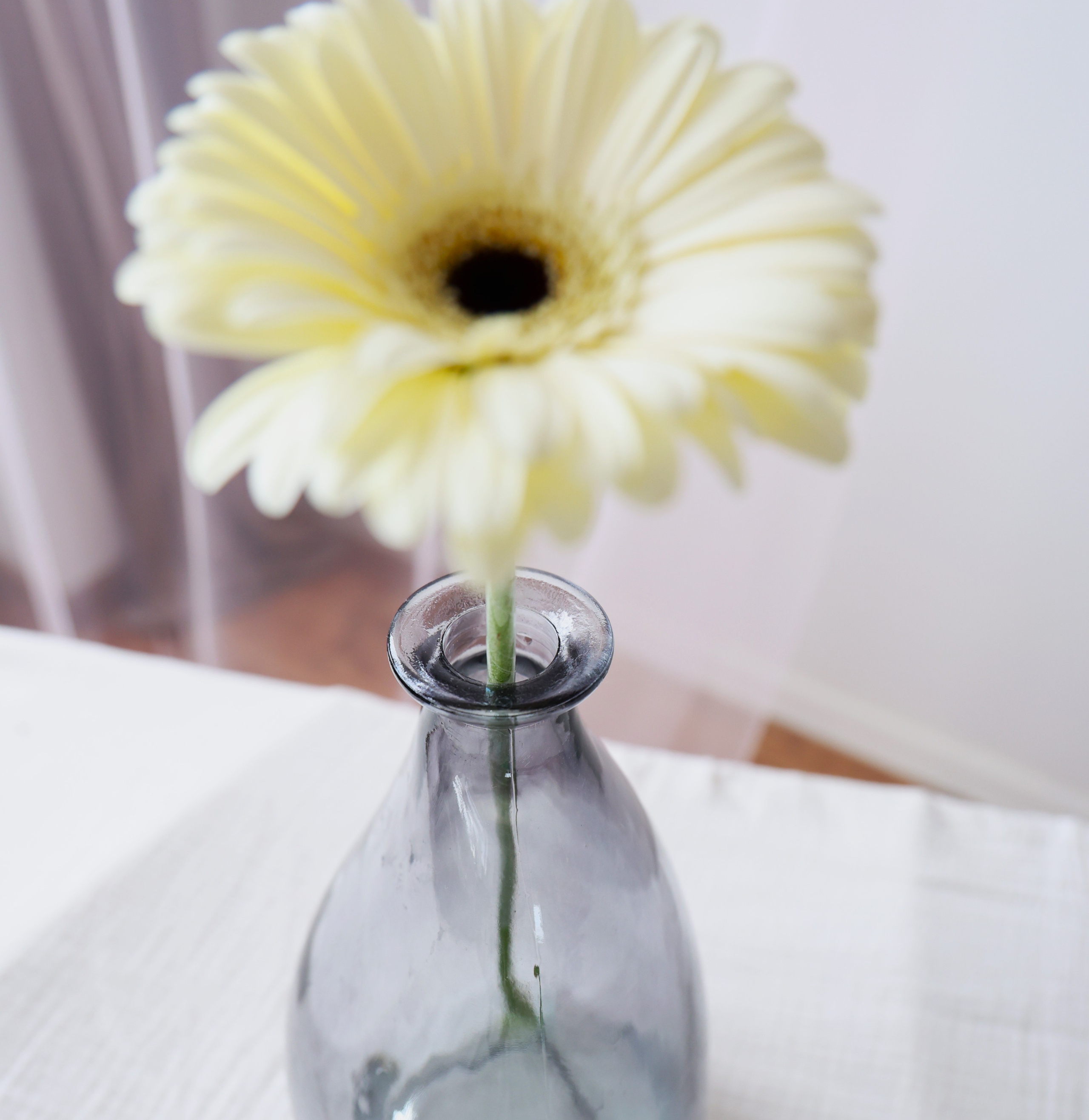 Фотограф в Ростове на Дону Пейович Виктория