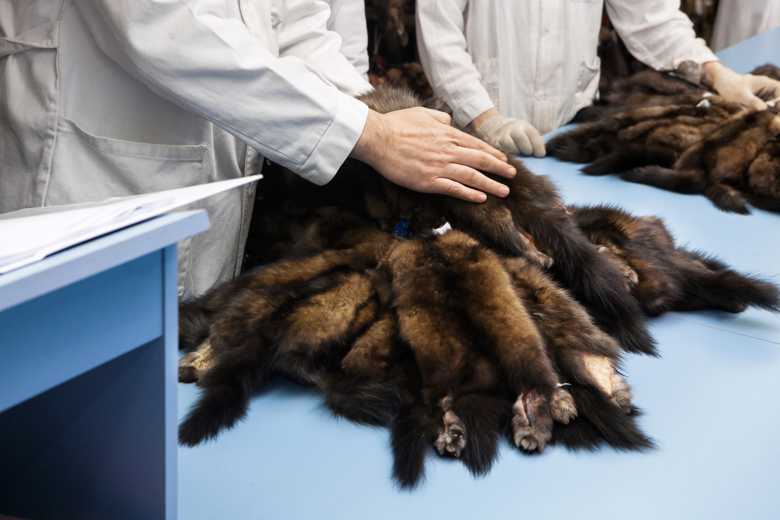 — Бренд-репортаж. Брук Артём