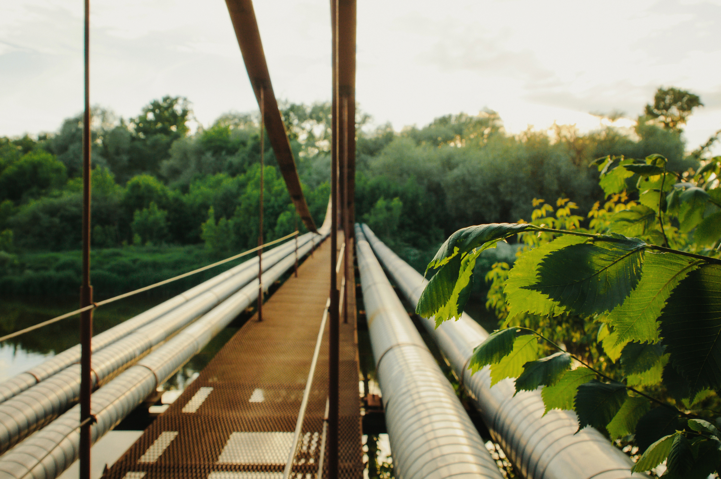 Ксения & Антон. Видеограф и фотограф на свадьбу в Москве