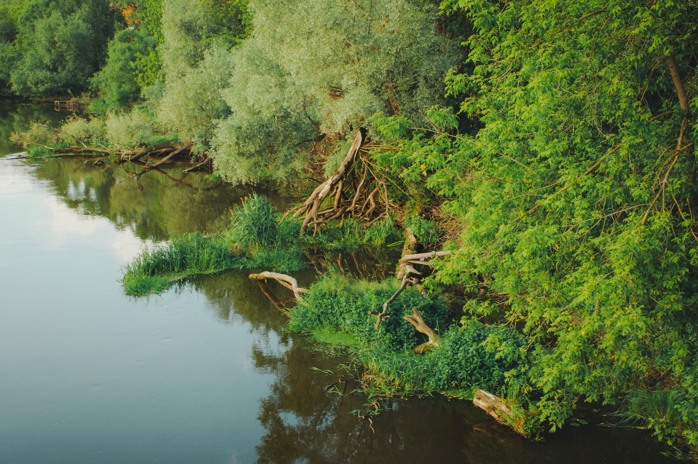 Ксения & Антон. Видеограф и фотограф на свадьбу в Москве