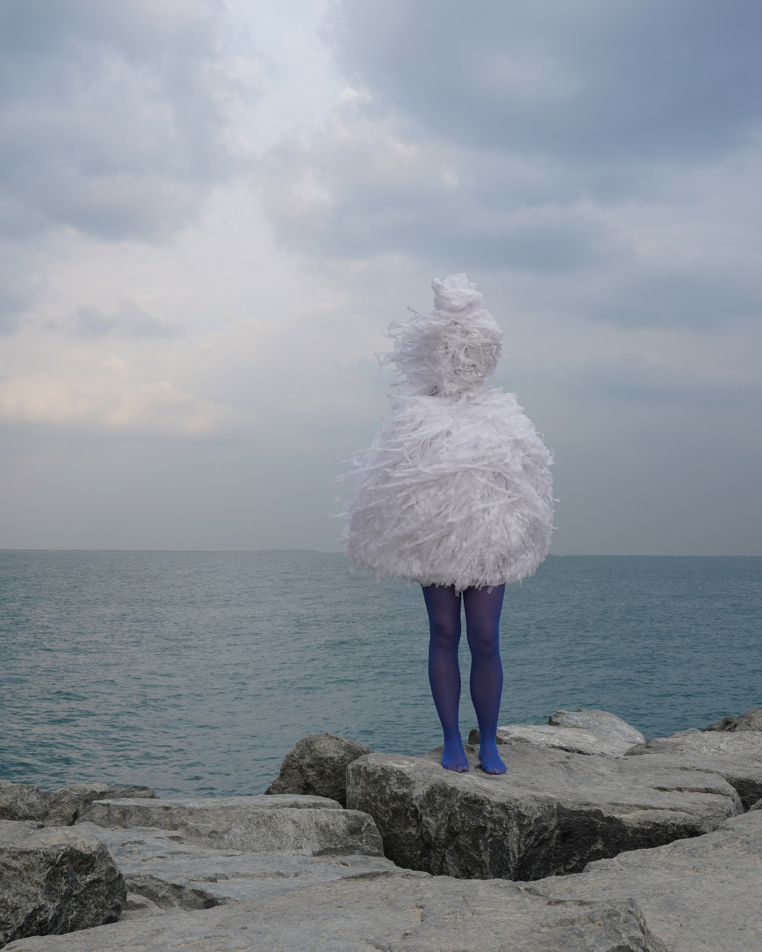 Christmas trees. Katyavasileva