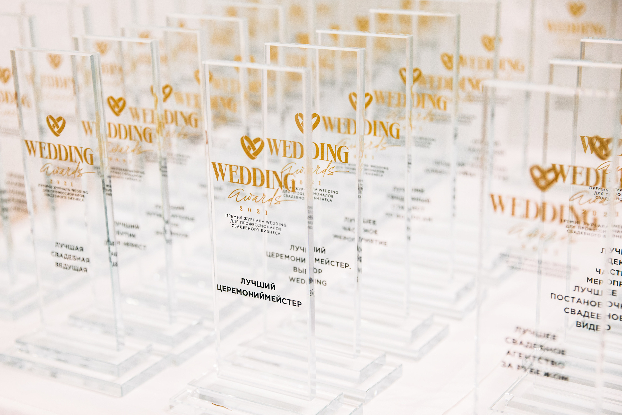 Успехи и достижения | Видеостудия MEDVEDEV FILMS Ростов-на-Дону