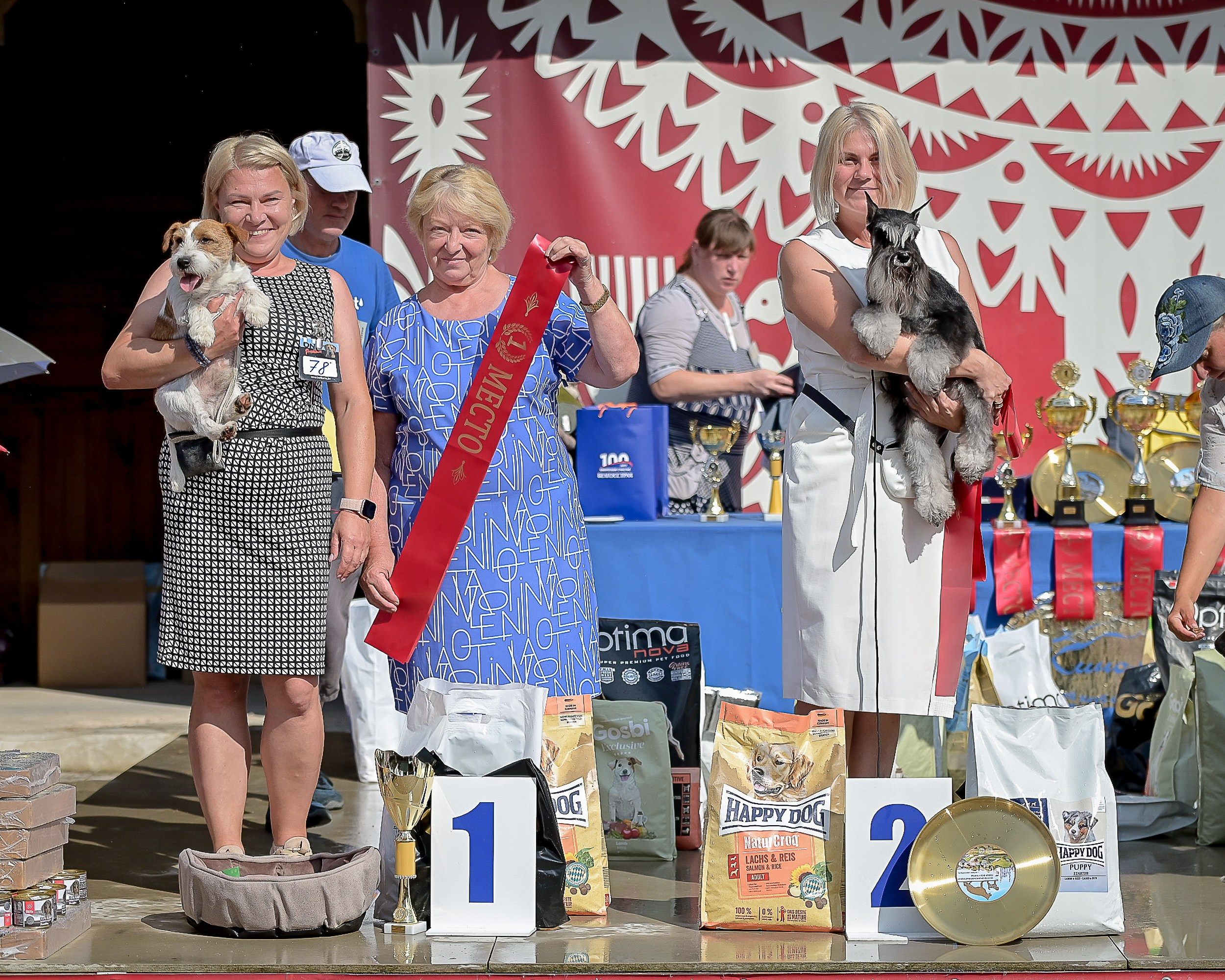 #delinsobalance #цвергшнауцер #питомникцвергшнауцеров #цвергшнауцерыбеларуси #питомникцвергшнауцеровбеларусь