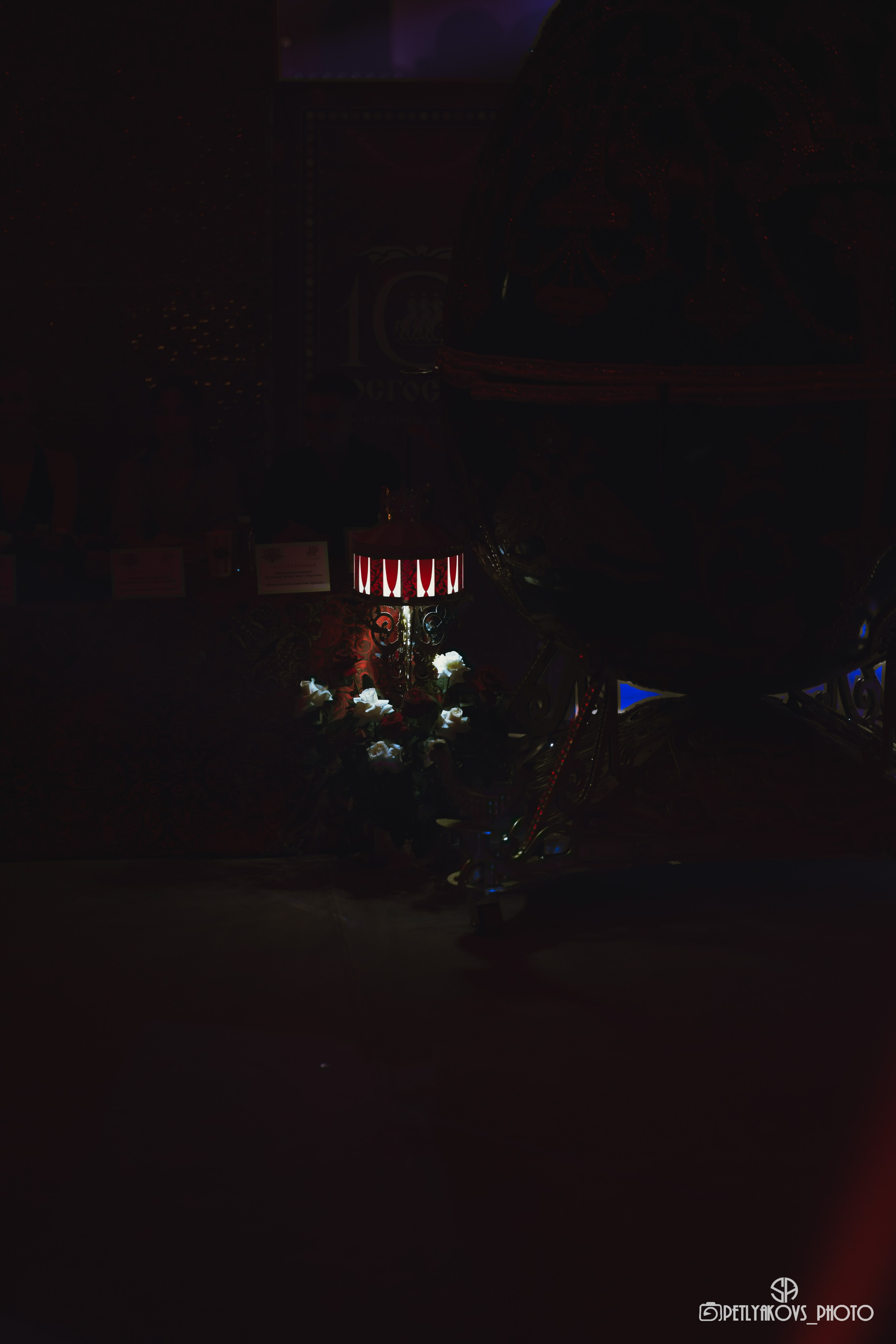 Пресс-конференция циркового шоу Гии Эрадзе «Бурлеск» (репортаж). Фотограф, видеограф Пятигорск, Ставрополь, Ессентуки, Petlyakovs_photo