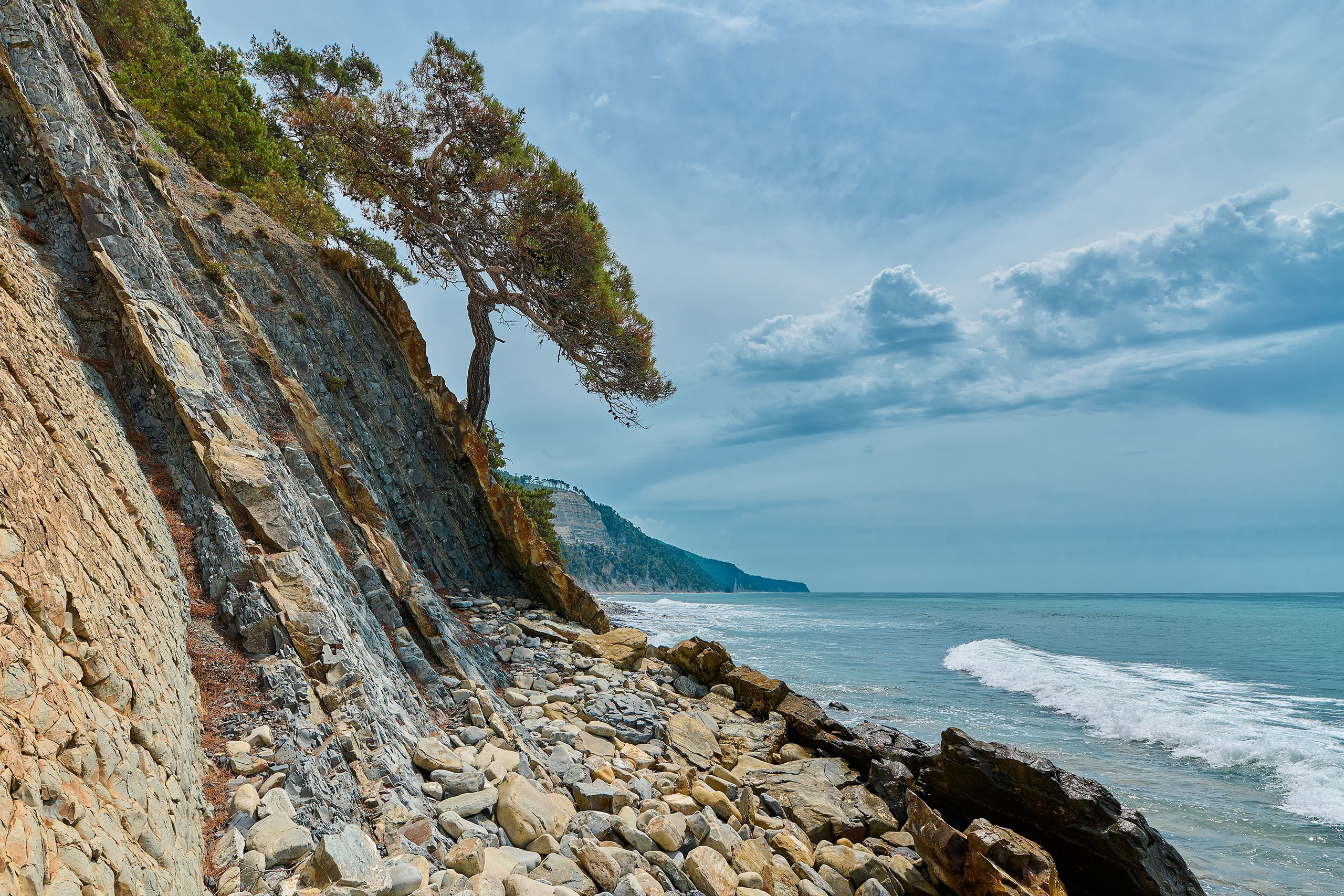 Геленджикский район, Краснодарский край, Кавказ, Черное море, скалы, горы, сосна, пляж, Джанхот, скала Черепахаскала Черепаха, п. Джанхот