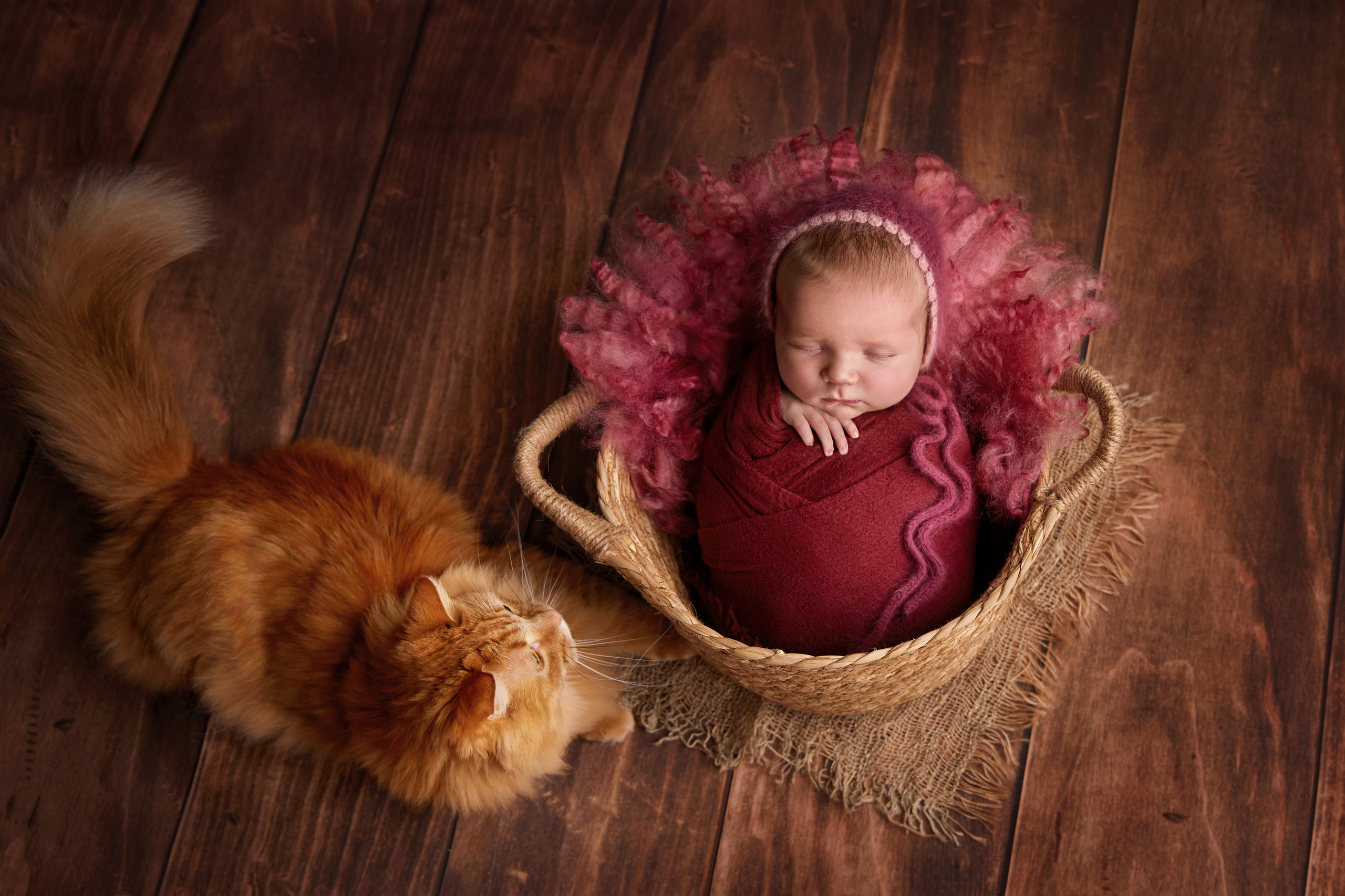 Профессиональный фотограф новорождённых в Москве Елена Сатюкова