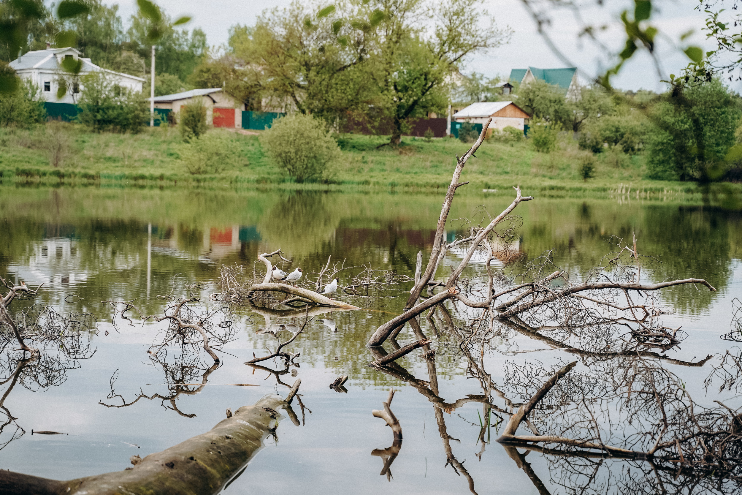 Бизнес фотосессия для стильного йога и бородатого мужчины на природе