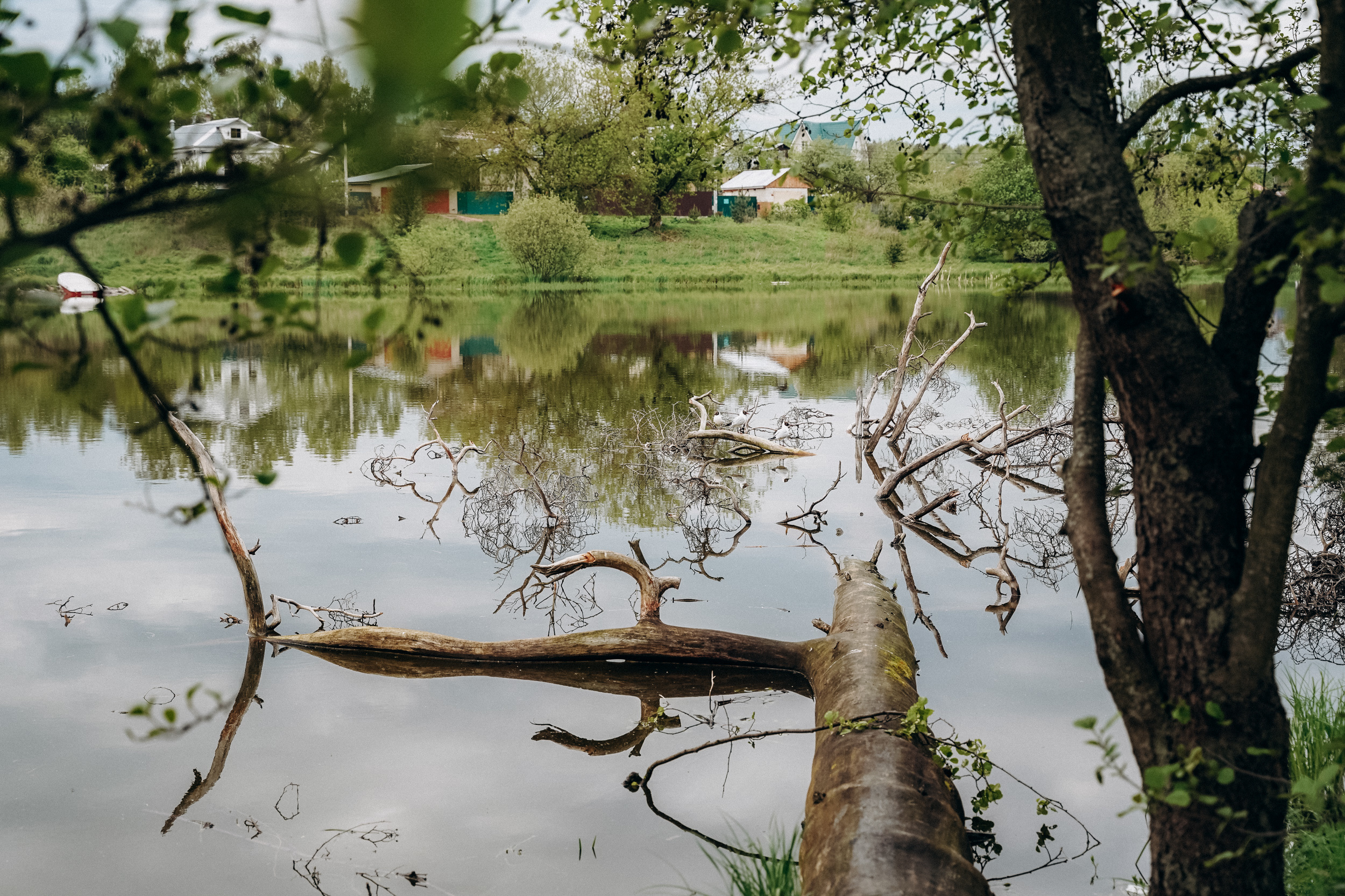 Бизнес фотосессия для стильного йога и бородатого мужчины на природе