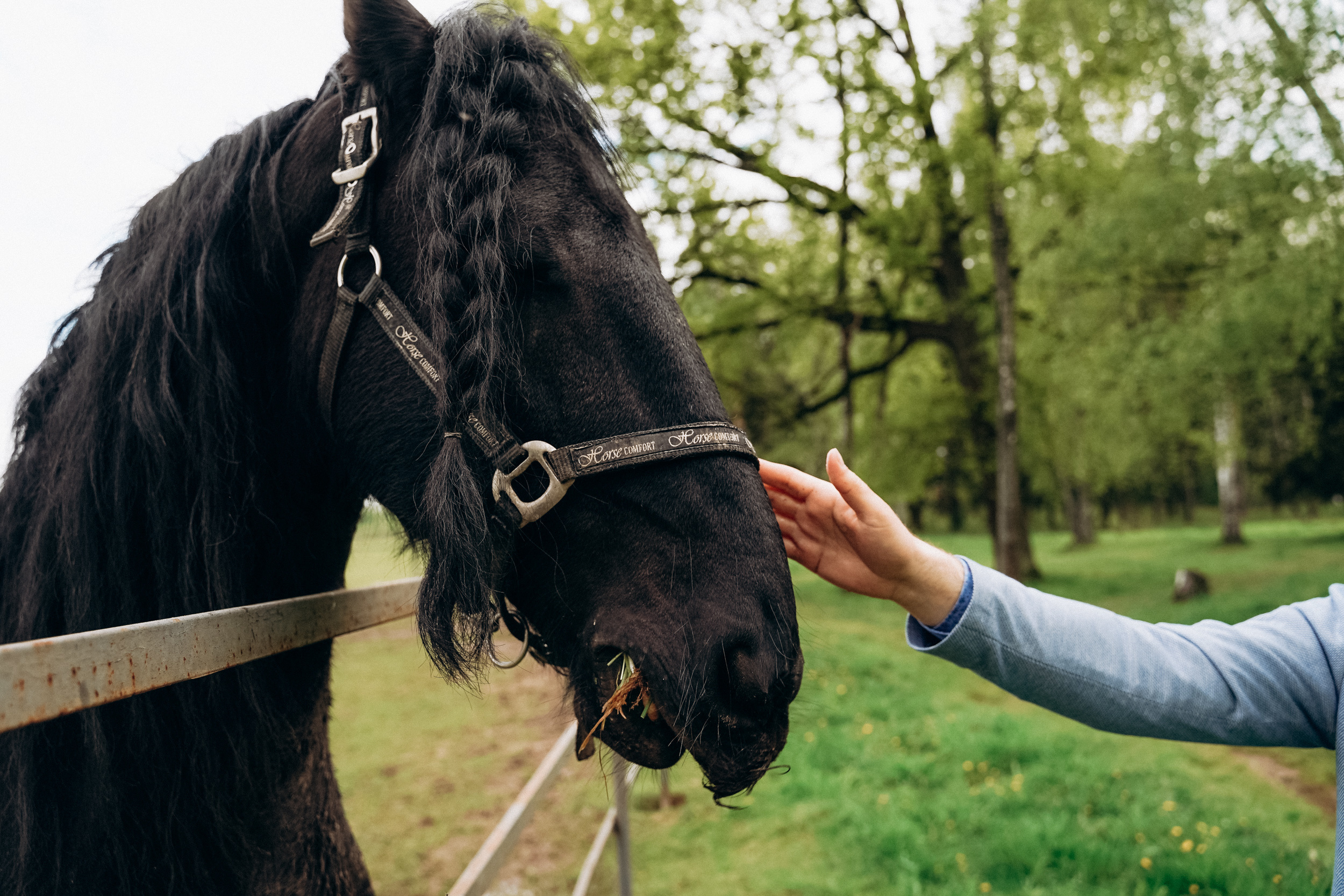 Бизнес фотосессия для стильного йога и бородатого мужчины на природе