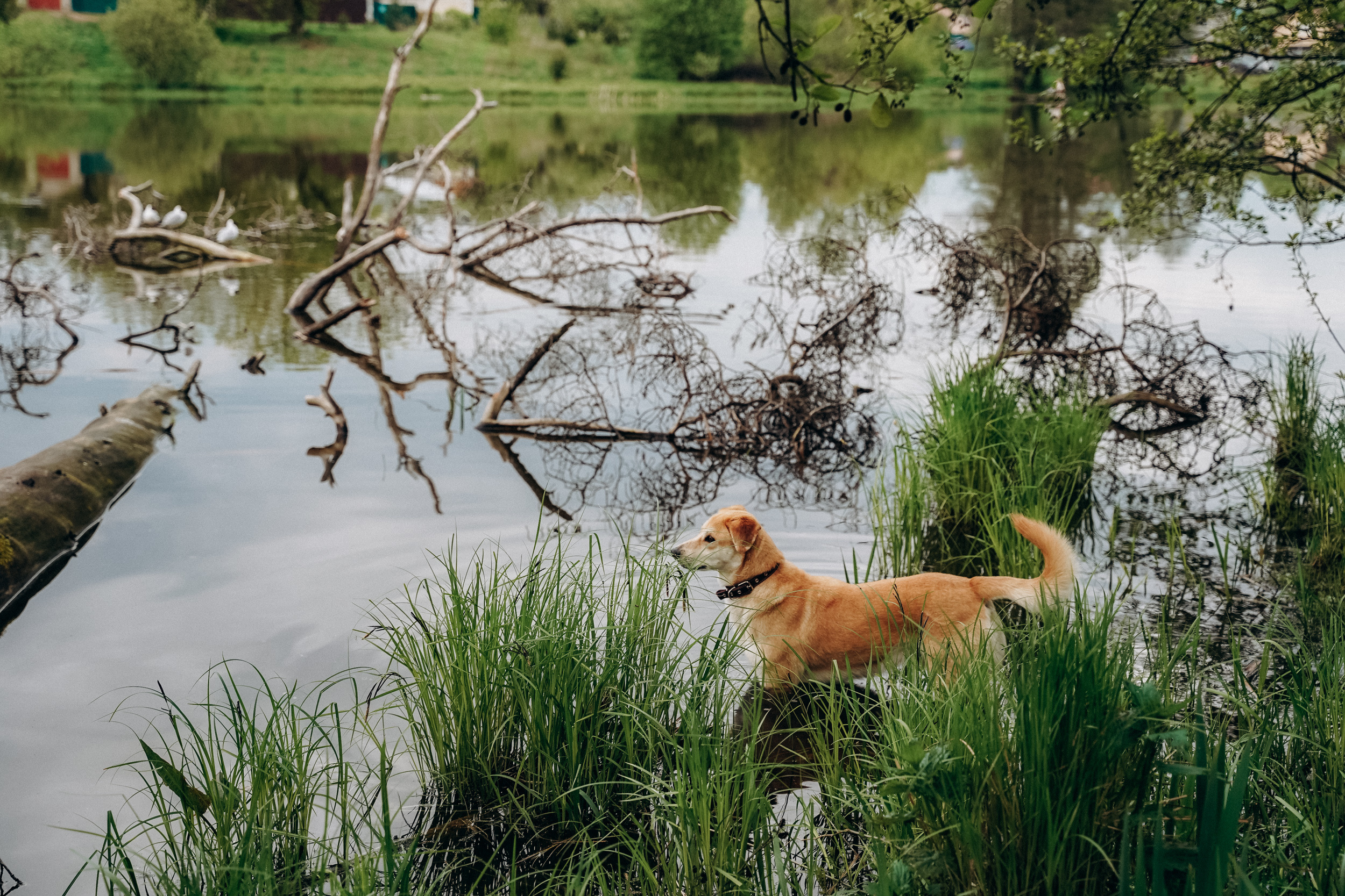 Бизнес фотосессия для стильного йога и бородатого мужчины на природе