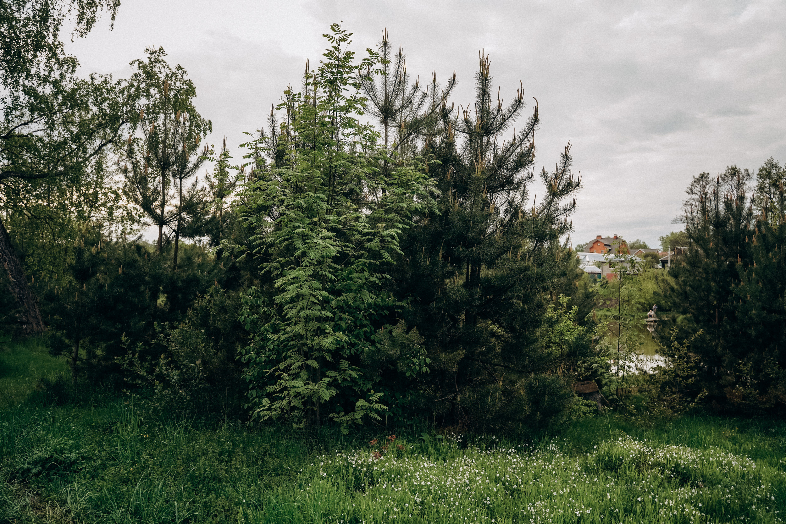 Бизнес фотосессия для стильного йога и бородатого мужчины на природе