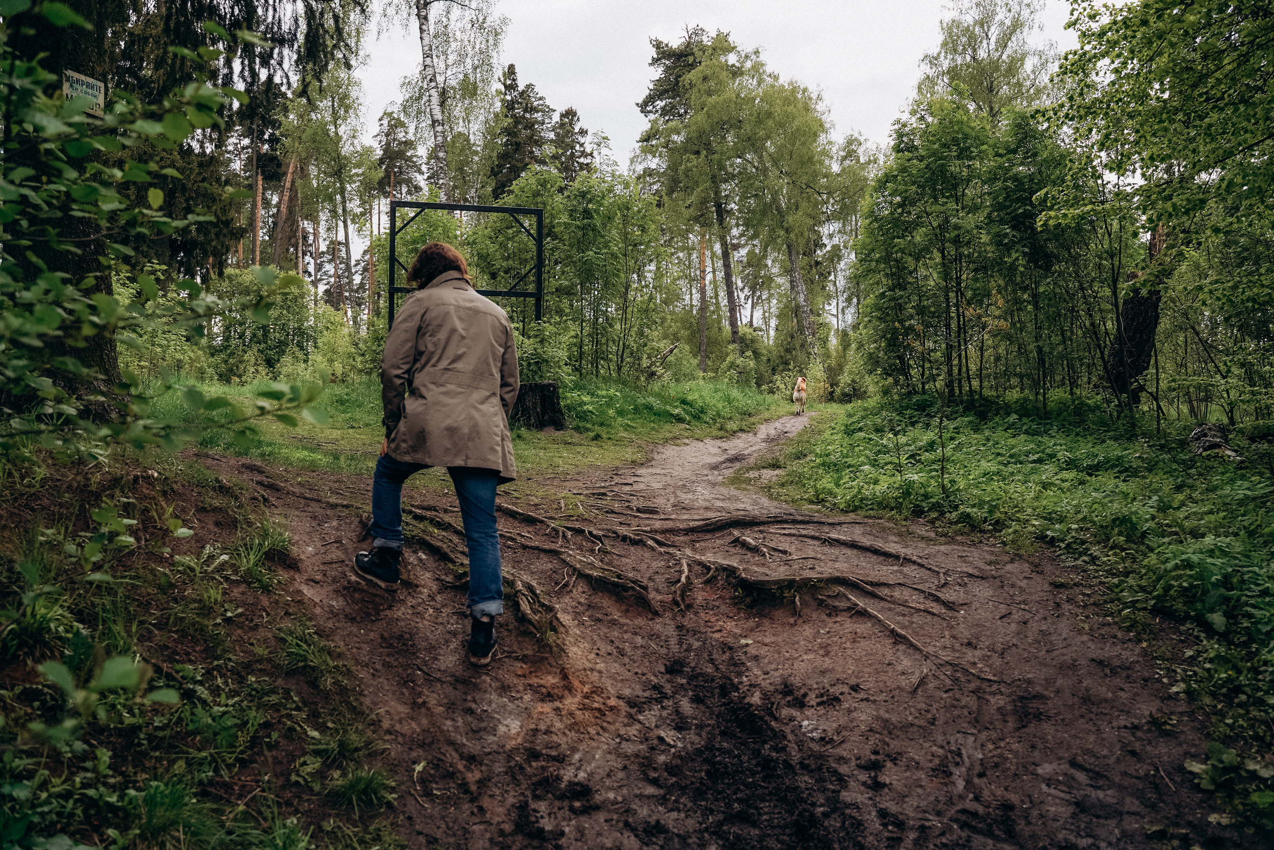 Бизнес фотосессия для стильного йога и бородатого мужчины на природе