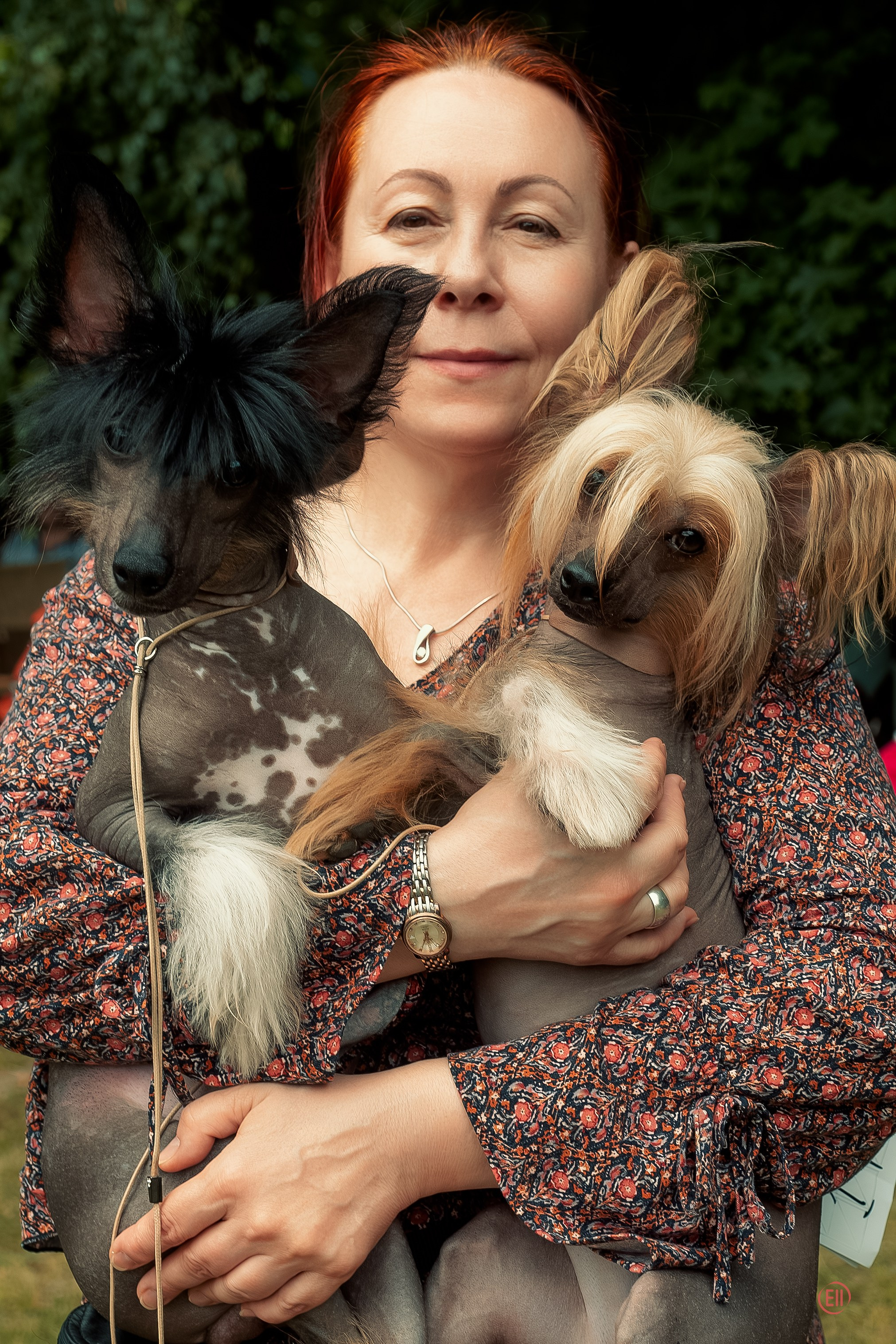 Vik’s first exhibition (Poale Ell Vik). Chinese Crested Dog Kennel Poale Ell