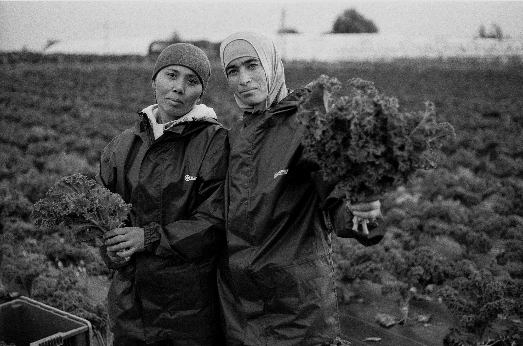 SuperFoodFarm. The history of the farm. Another person Pavel Potseluev. A photographer in 2025