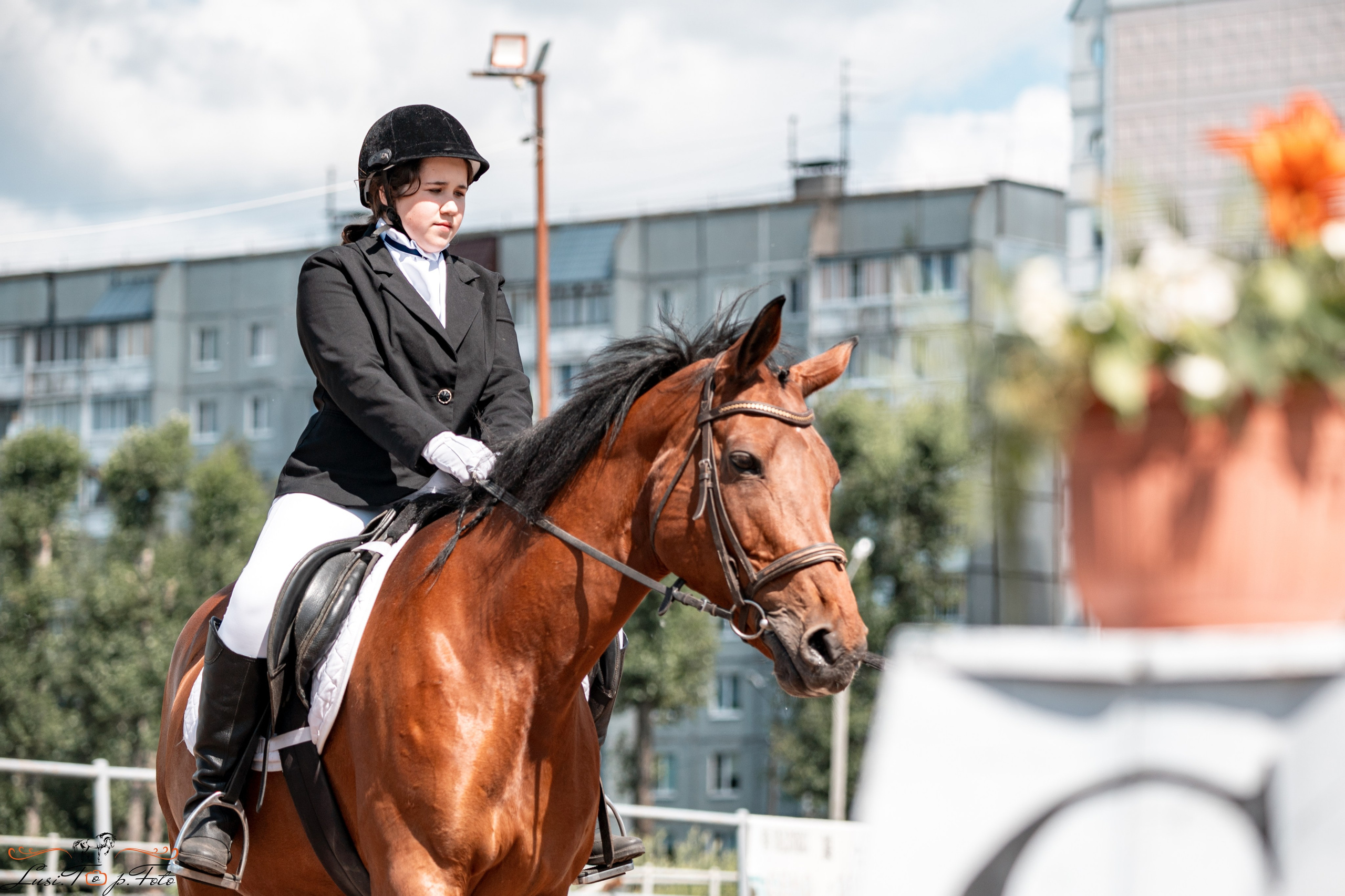 Областные соревнования по выездке. Тверь. Конный и фотограф с животными в Твери Топталова Люся