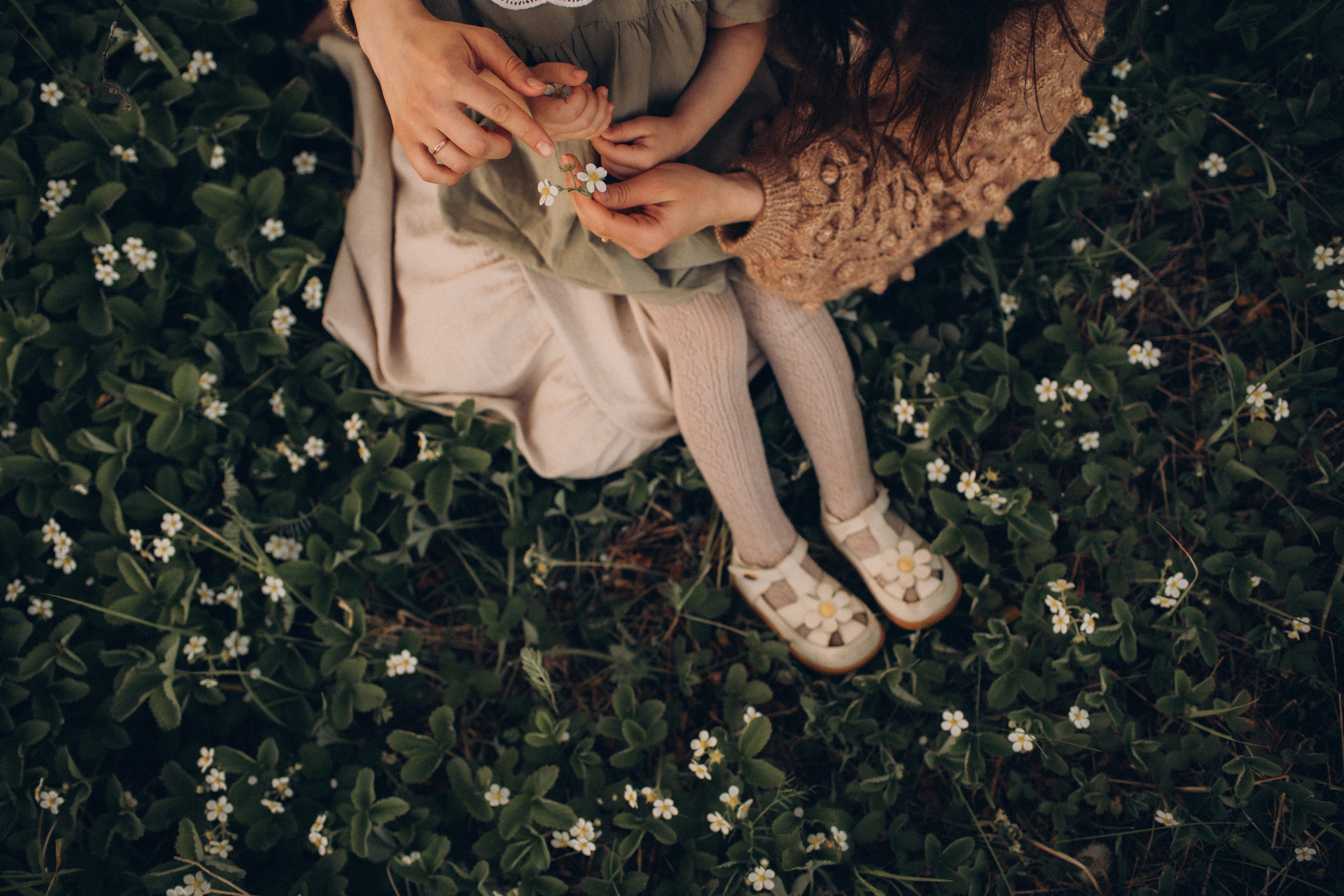 Фотограф Алиса Чечина. Калуга. Товарково